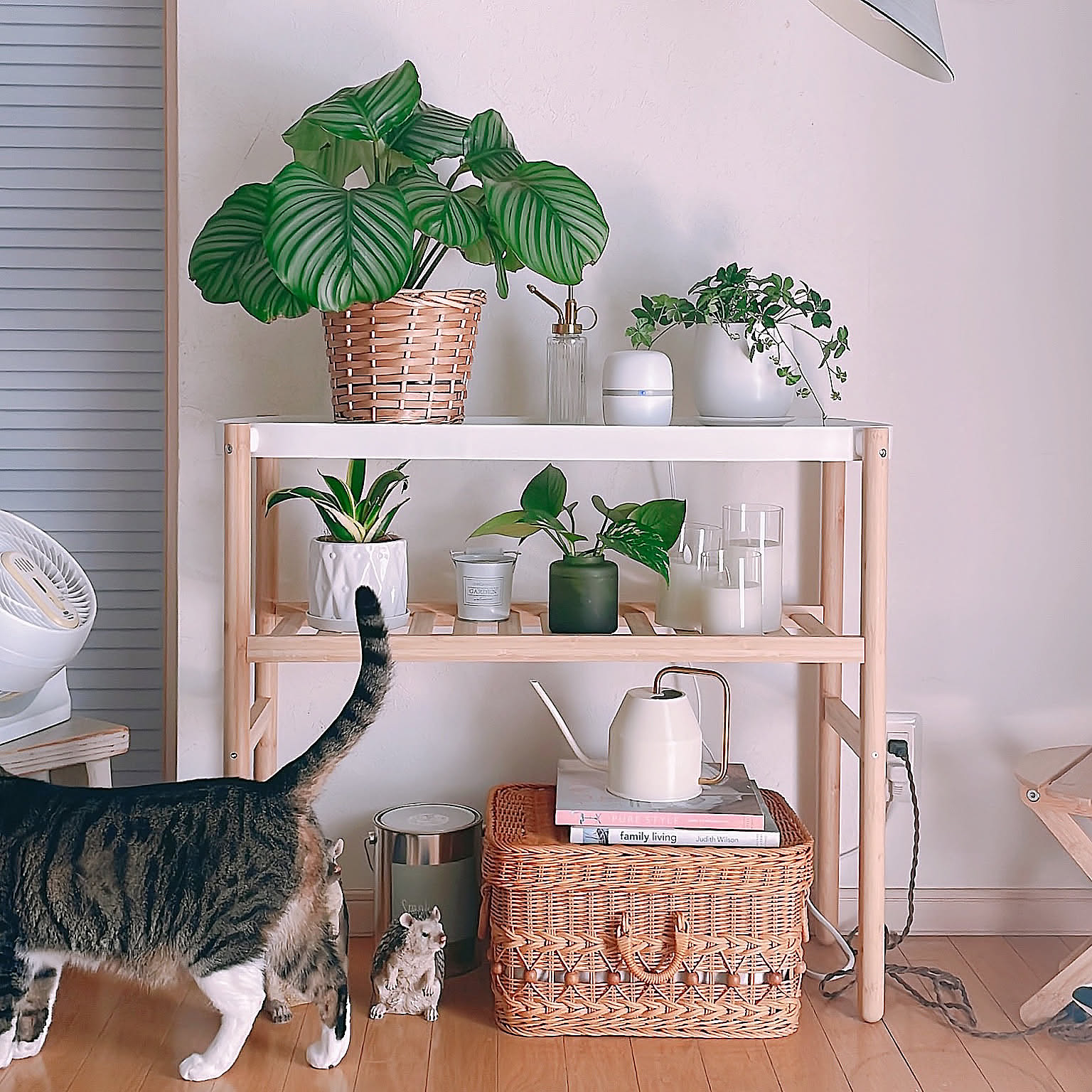 【無料モニター】置いてスイッチオンするだけで、おうちを防虫。マモルームを50名様にプレゼント！