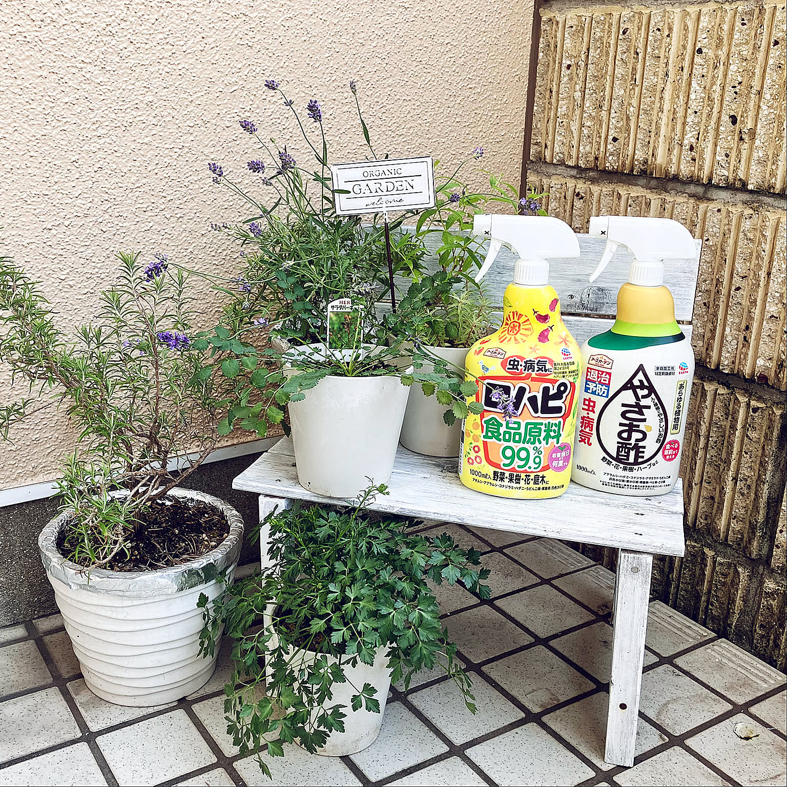 「予防＆退治」で植物を健やかに♪お手入れに欠かせない、ガーデニング好きの定番アイテムとは？