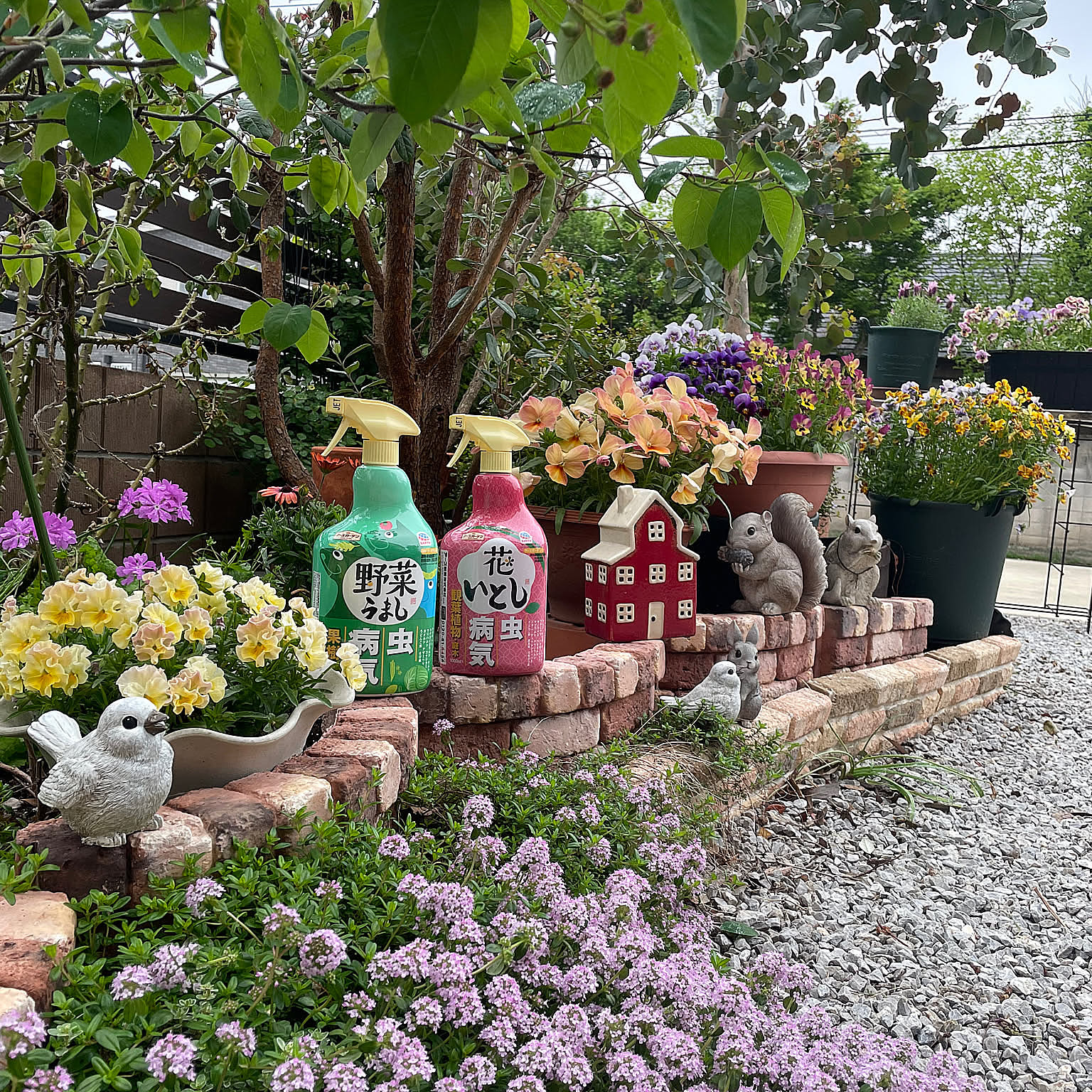 きれいなお花もおいしい野菜も手軽に♪植物のお手入れルーティンにはこれがいい！