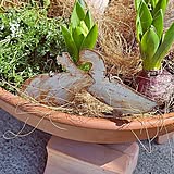 「お庭に彩りを添える♪アンティーク風ガーデンピック」 by mocomocoさん