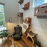 猫との暮らしをもっと「猫壁（にゃんぺき）」に♪見た目も使い勝手も抜群のキャットウォーク、ユーザーさんはどう使う？