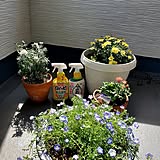 今年こそ野菜づくりやガーデニングを始めたい！初心者でも元気に植物を育てられる「アースガーデン」の人気アイテムとは