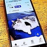 投稿から豆知識まで、楽しみ方はいろいろ！愛犬・愛猫と暮らすユーザーさんのためのペットSNS「moflog」