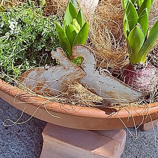 「お庭に彩りを添える♪アンティーク風ガーデンピック」 by mocomocoさん