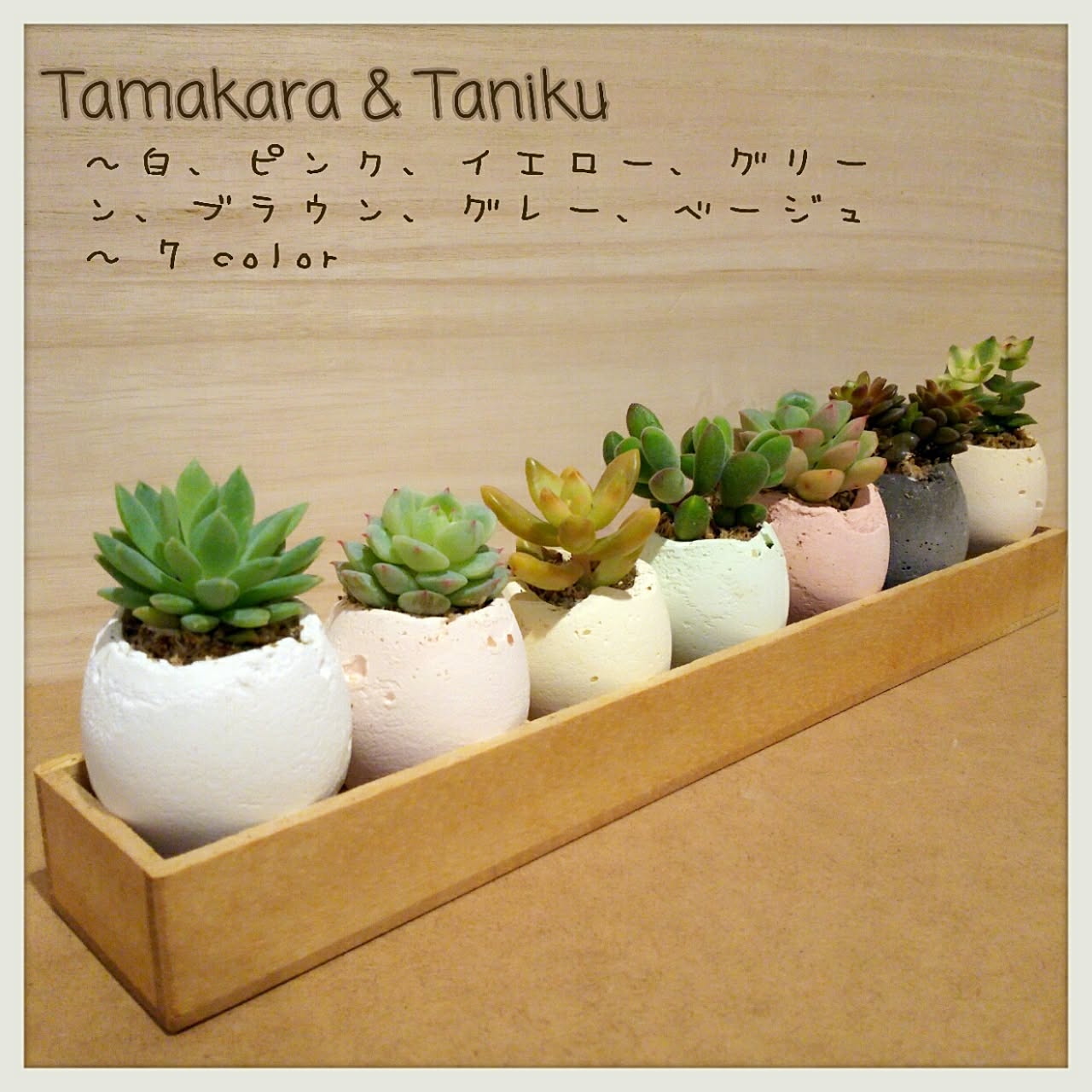 121.たまご鉢＆木製ピックアンティーク 多肉植物 寄植え