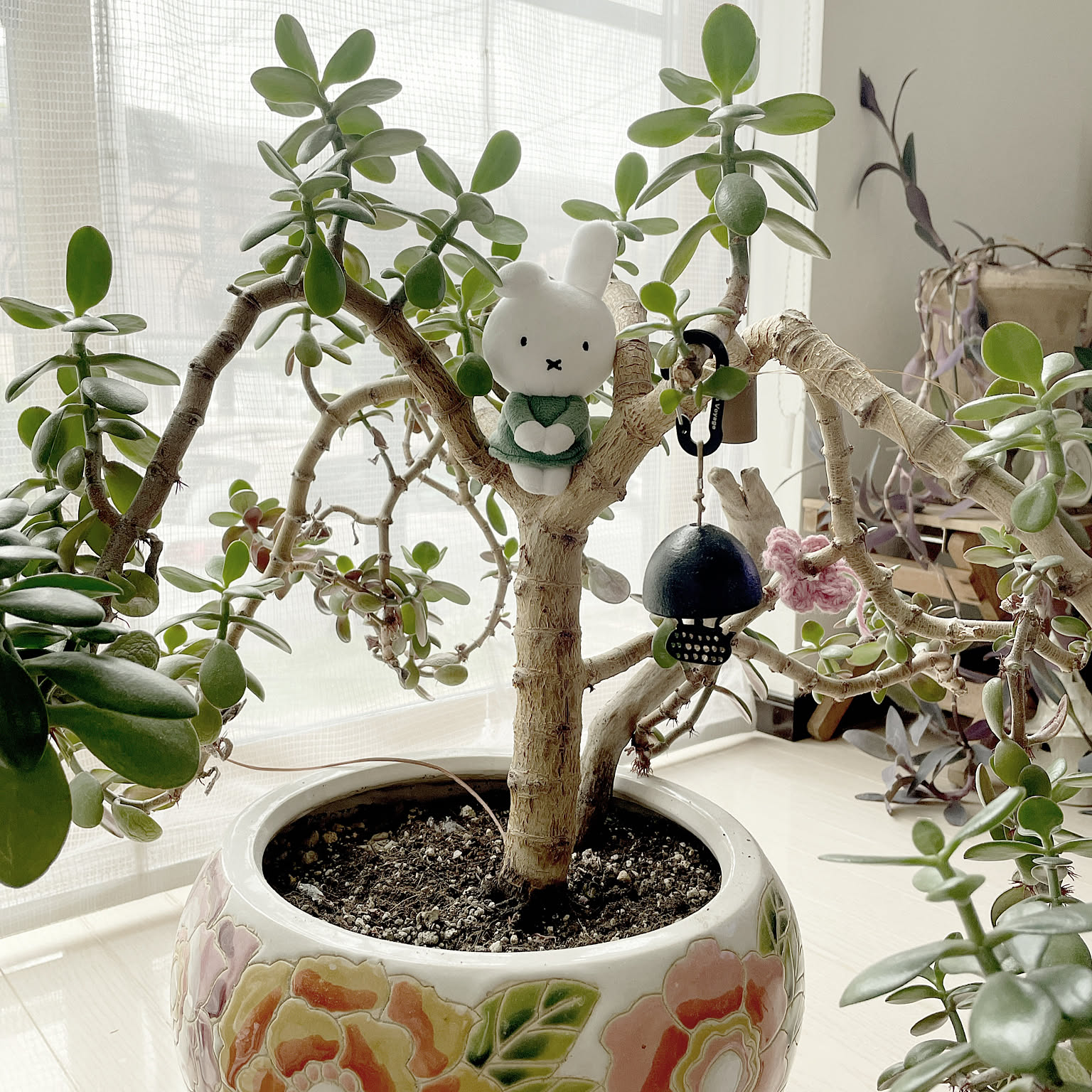 ★多肉植物　寄せ植え〜ミッフィーとお花畑〜そのまま飾れます(≧∀≦)★ miffy Terrarium たのしいまいにち コンプリートBOX | グッズ商品 フラワー・ガーデニング