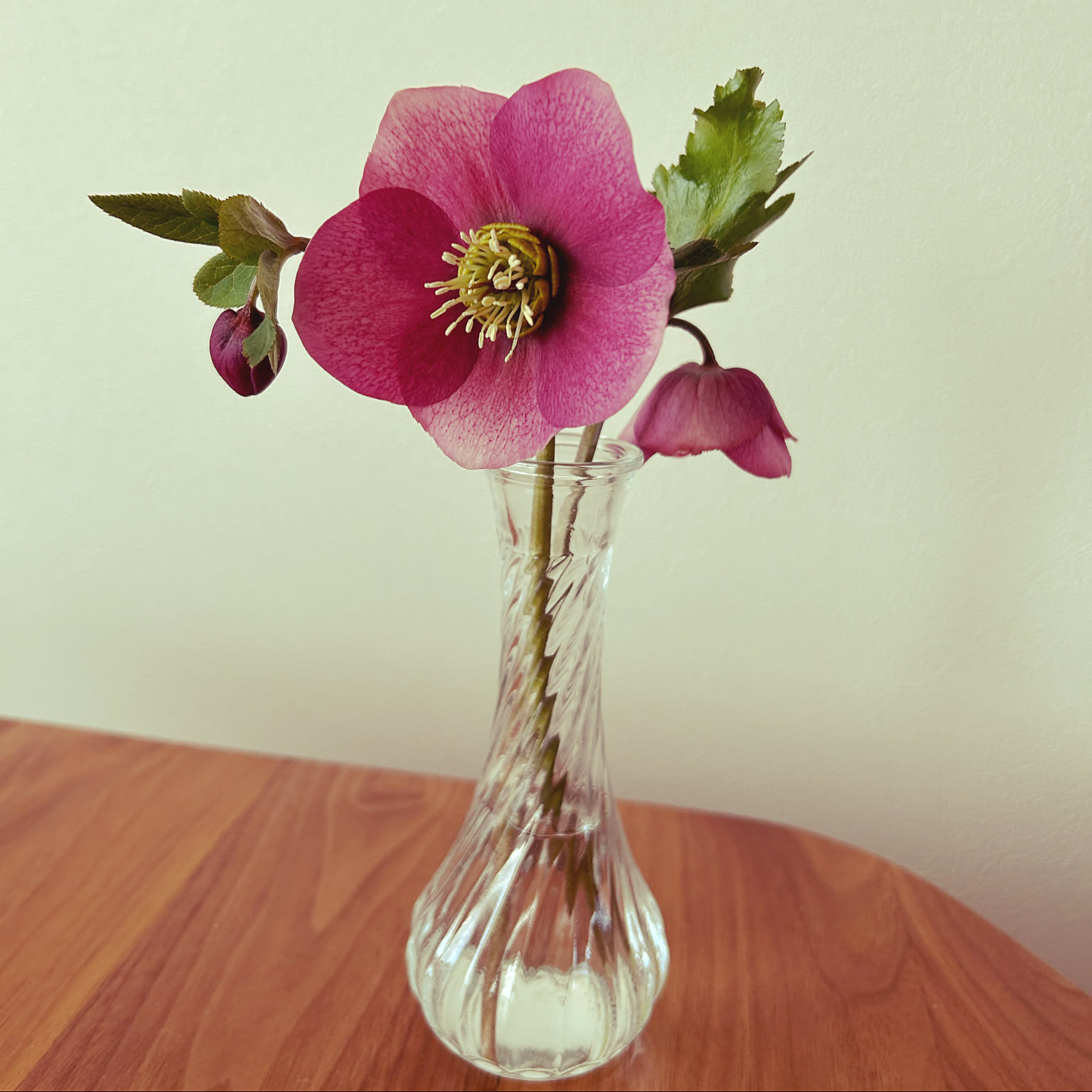 015b3455079f0795a54eb8cb173256