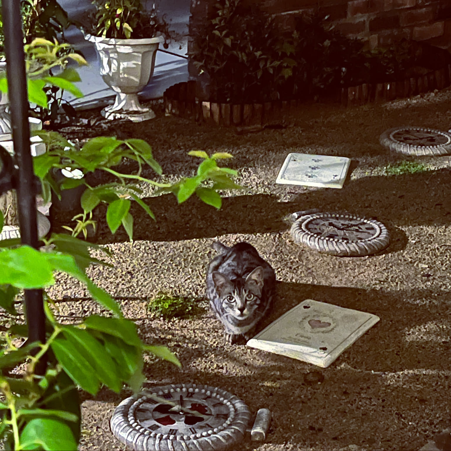 01a1e038dd6b98f0be14712d9624d5