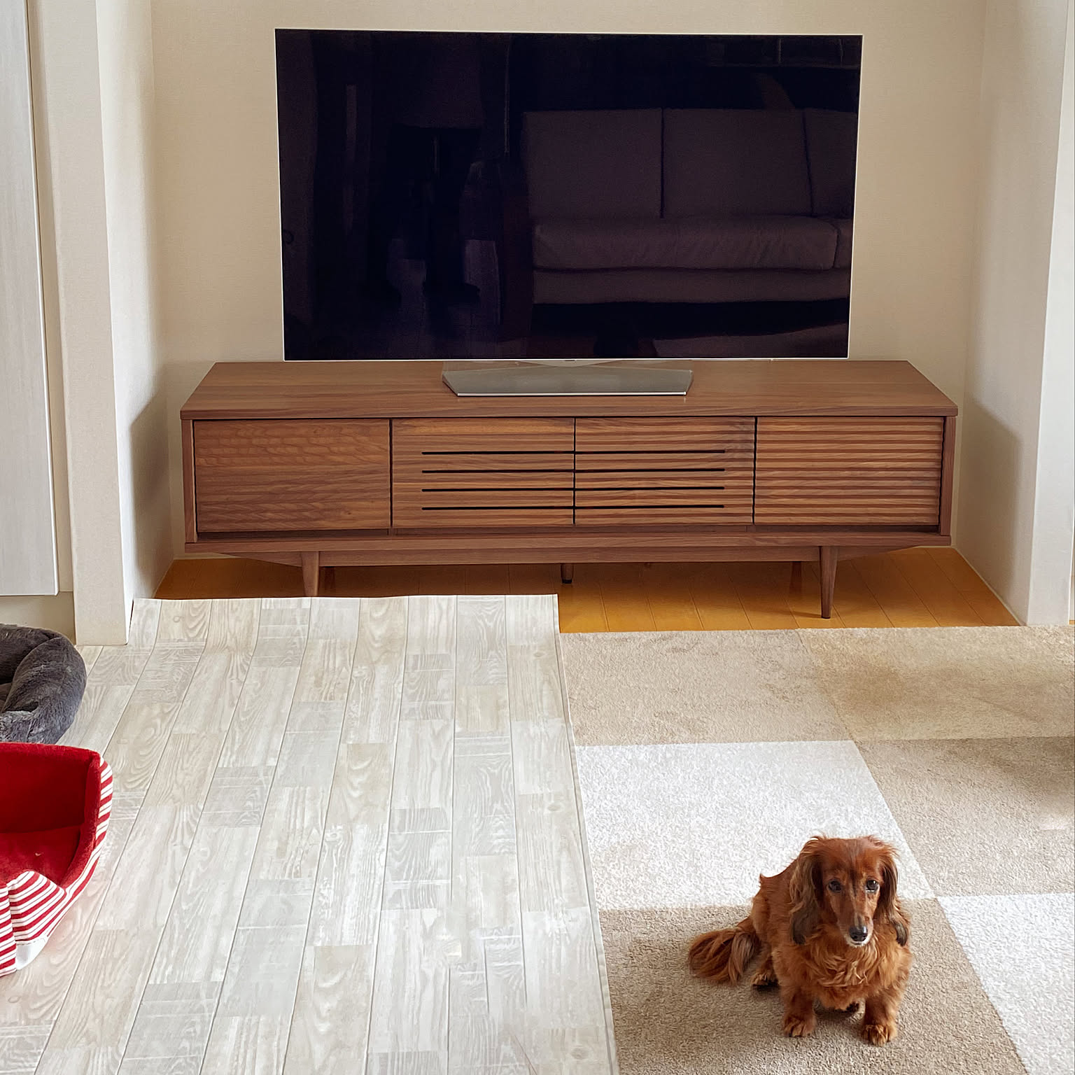 テレビ台　収納　KEYUCA 2025年10月】KEYUCA テレビ台、キャビネットのおすすめ人気