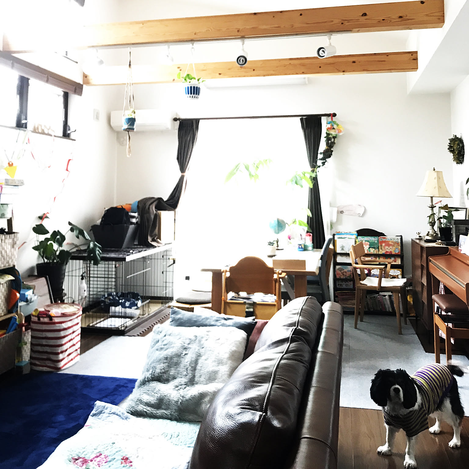 無垢材 葉山ガーデンのおしゃれなアレンジ・飾り方のインテリア 無垢材 葉山ガーデンのおしゃれなアレンジ・飾り方のインテリア