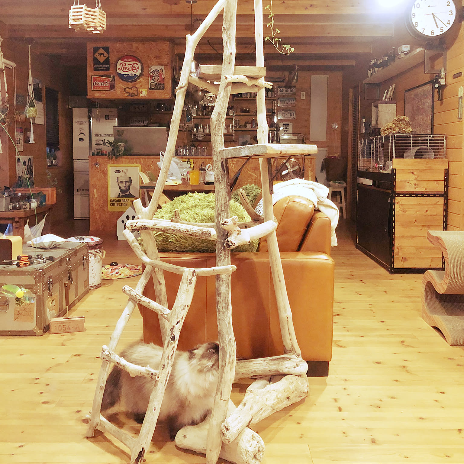 キャットタワー(流木使用) 流木キャットタワーのおすすめ商品とおしゃれな実例 ｜ RoomClip