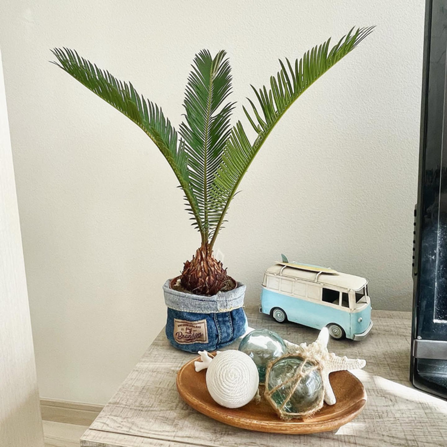 デニムリメイク　鉢カバー 楽天市場】デニム鉢カバー オリジナル商品 古着リメイク 観葉植物