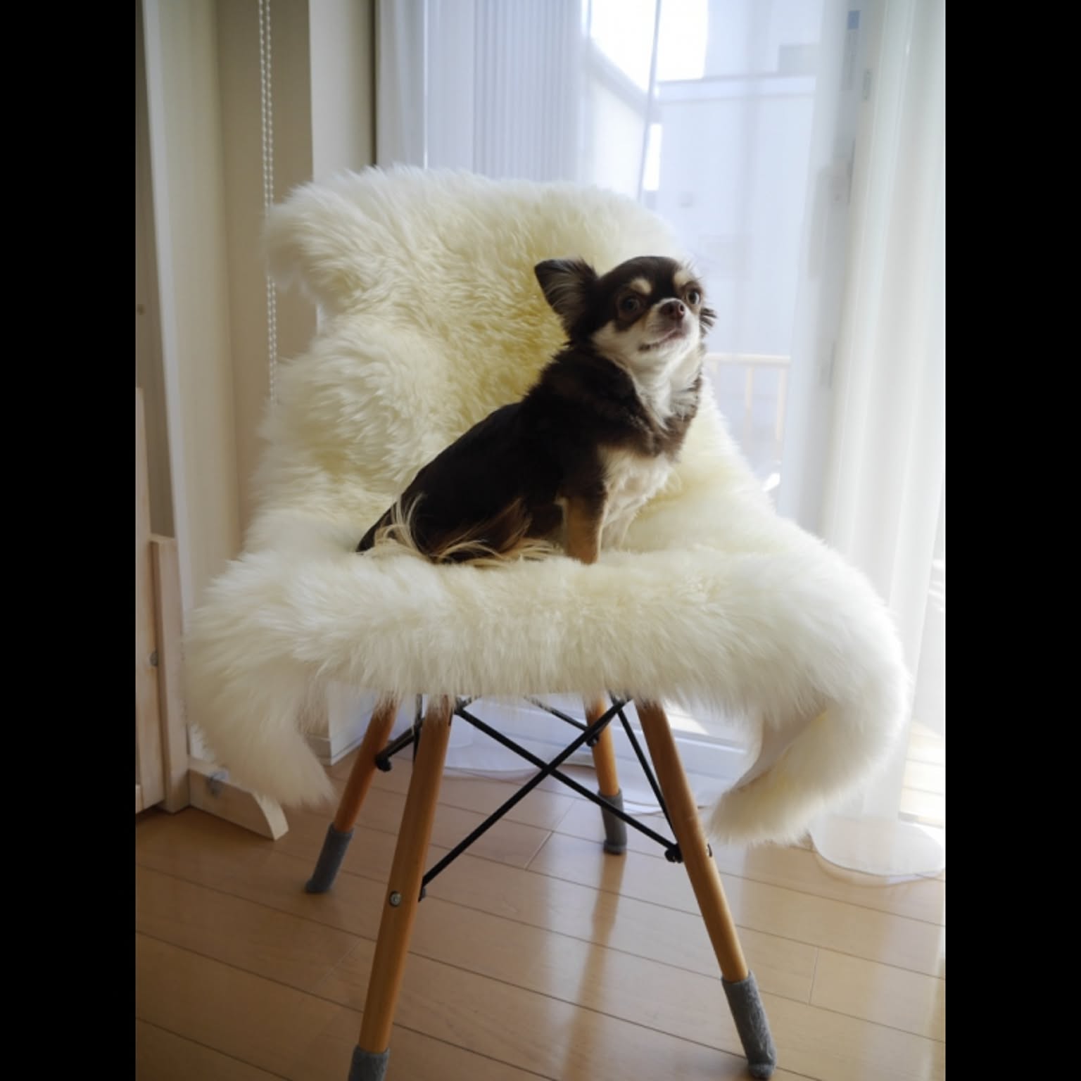 ファー素材♡動物型チェア ベージュ ファー素材♡動物型チェア ベージュ