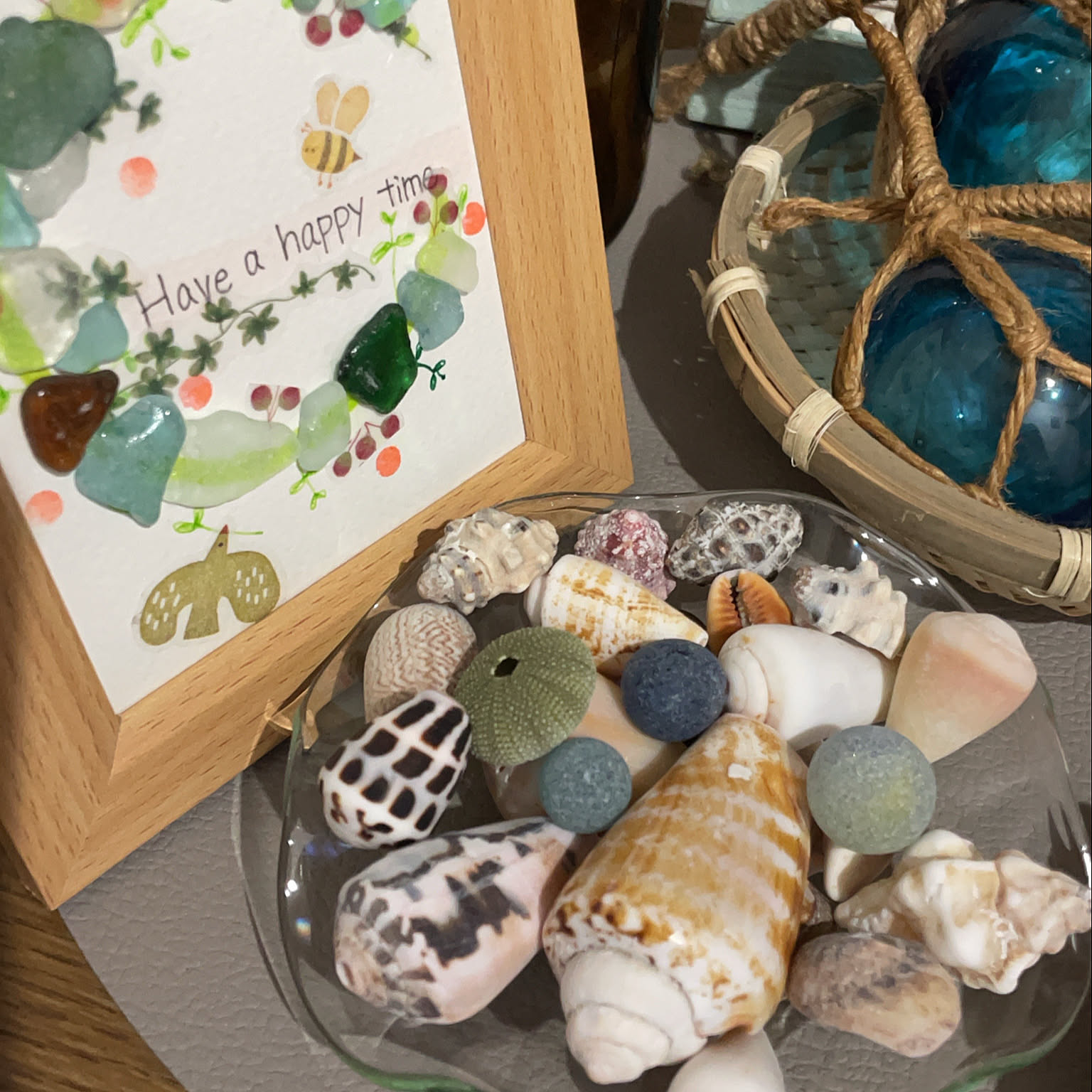 玄関/入り口/巻き貝やタカラガイの貝殻がたくさん取れた