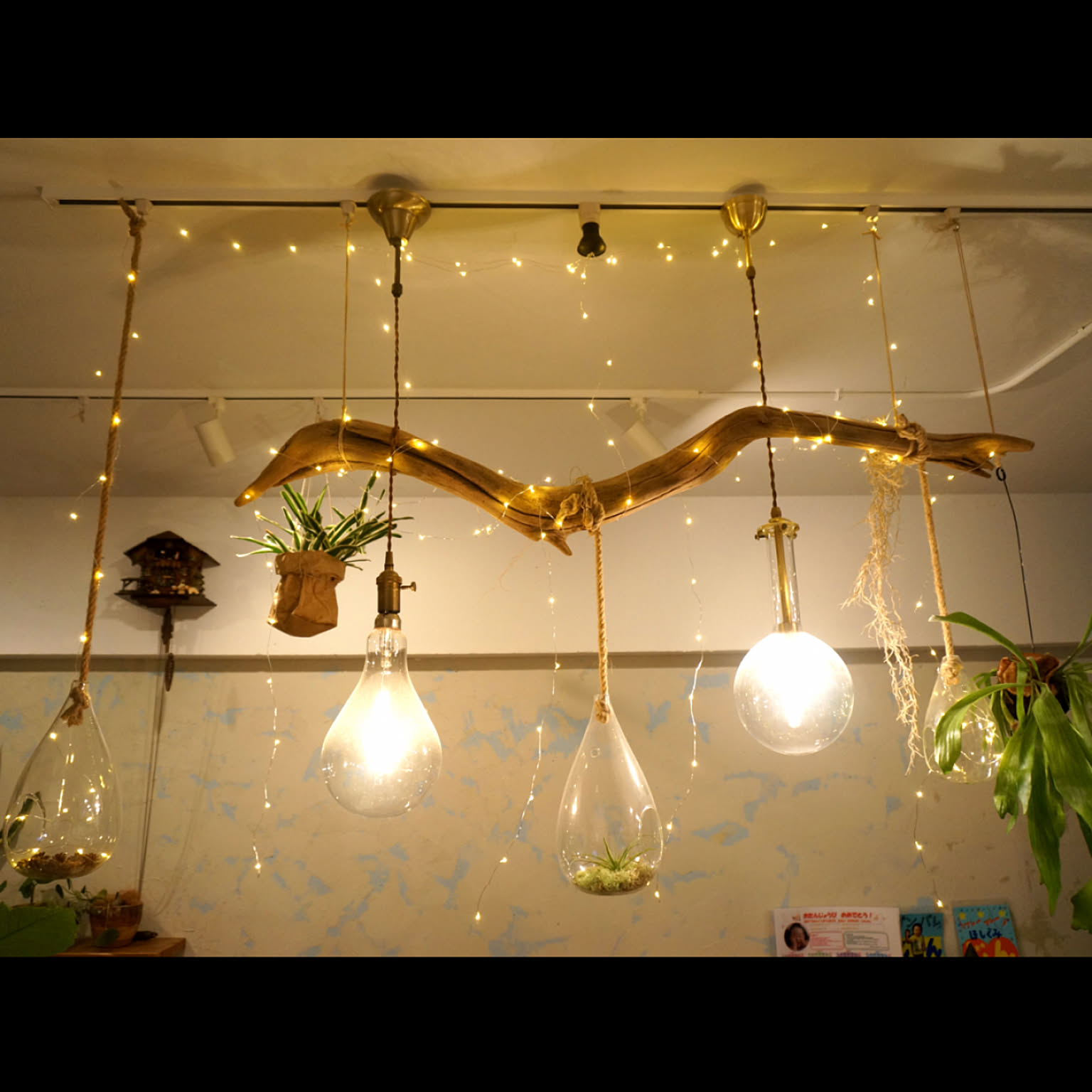 集魚灯のインテリア実例 ｜ RoomClip（ルームクリップ）