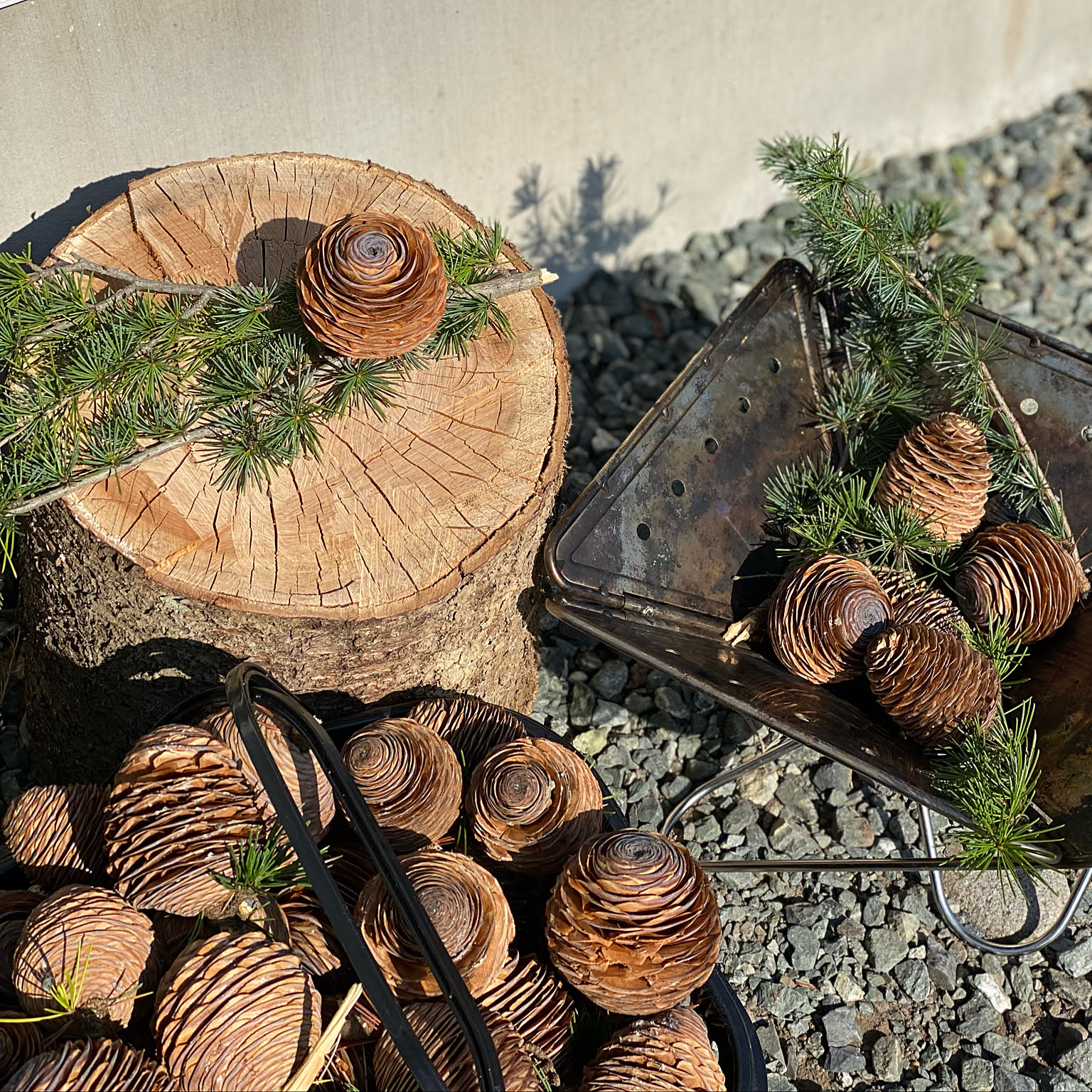 自然素材/シダーローズ/松ぼっくり/ヒマラヤスギ/秋のインテリア実例