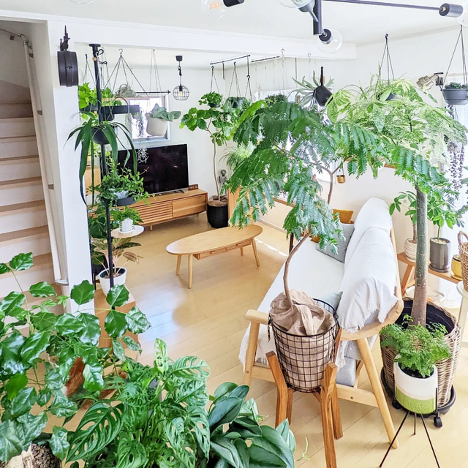 03f49756e56137d8afd3b29086b080