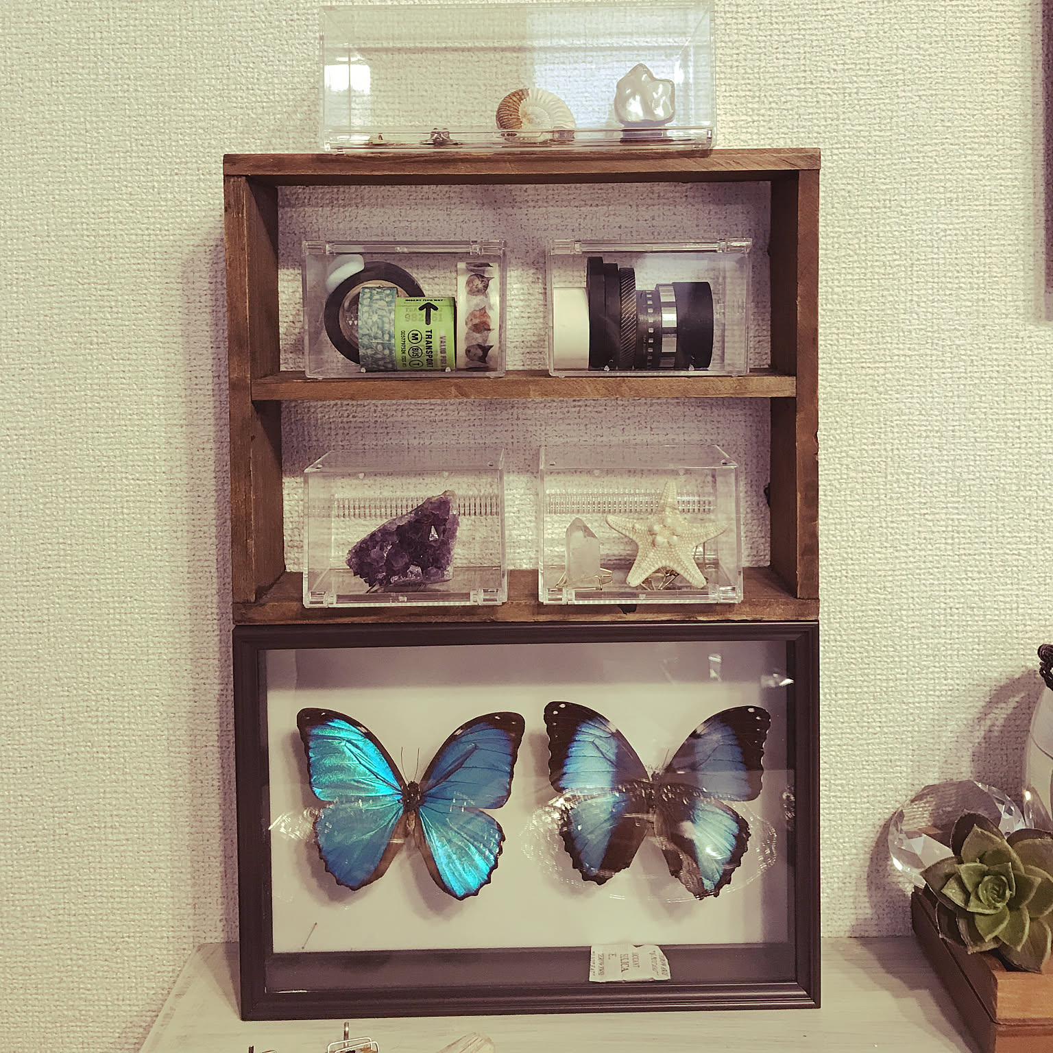 045ce0c4431e793a0129e288f36b9a