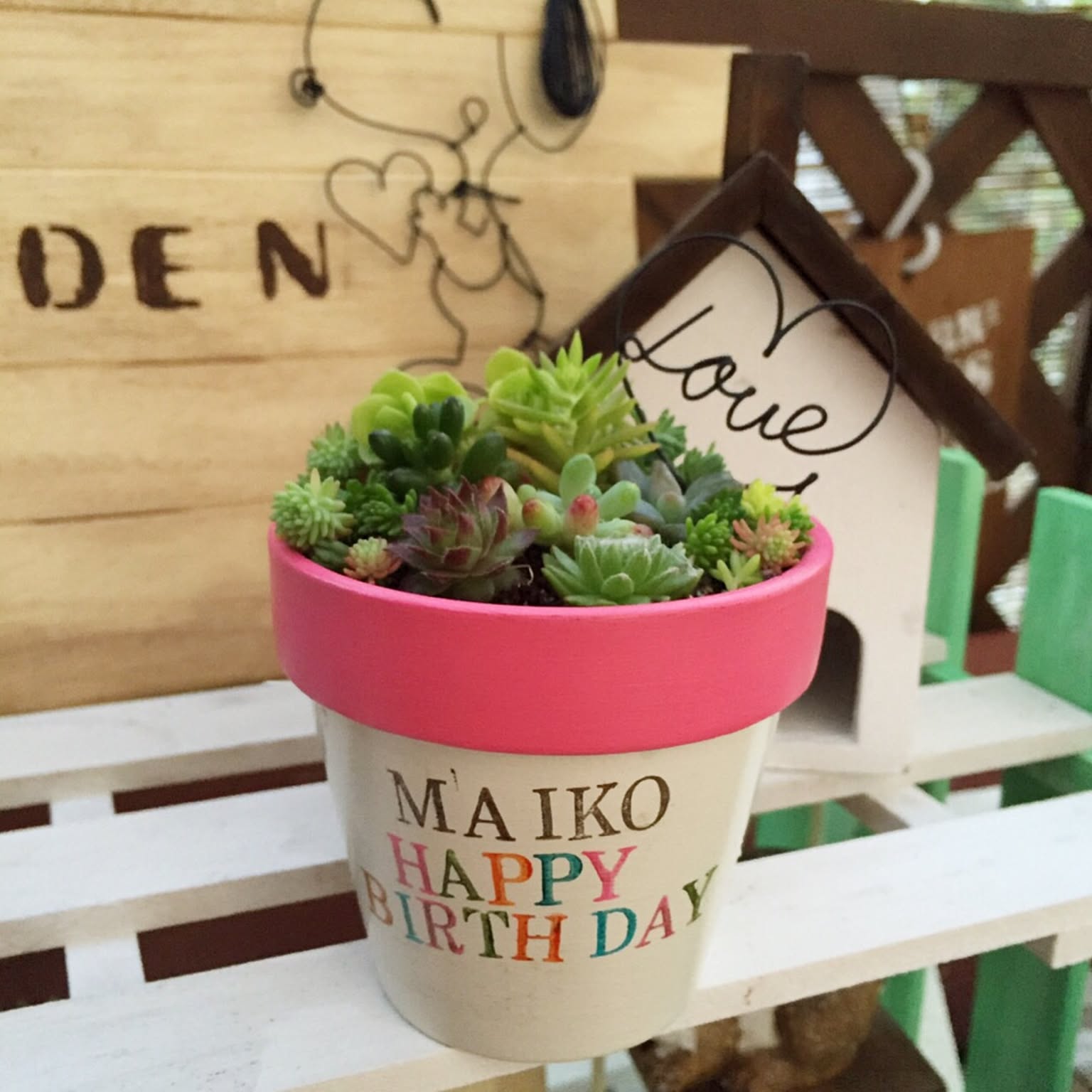 スヌーピー 多肉寄せ植えのおすすめ商品とおしゃれな実例 ｜ RoomClip  