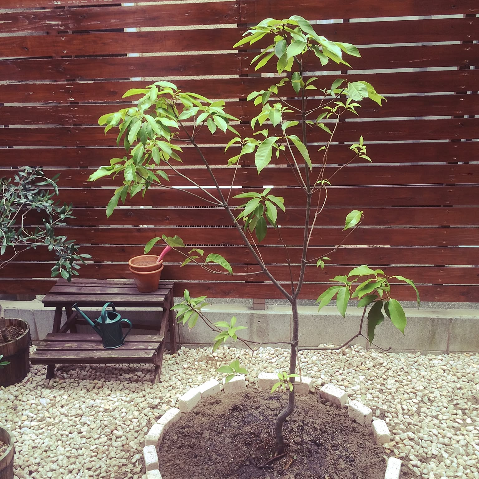 0692a7717e6ecc8acb9d27173ebaaa