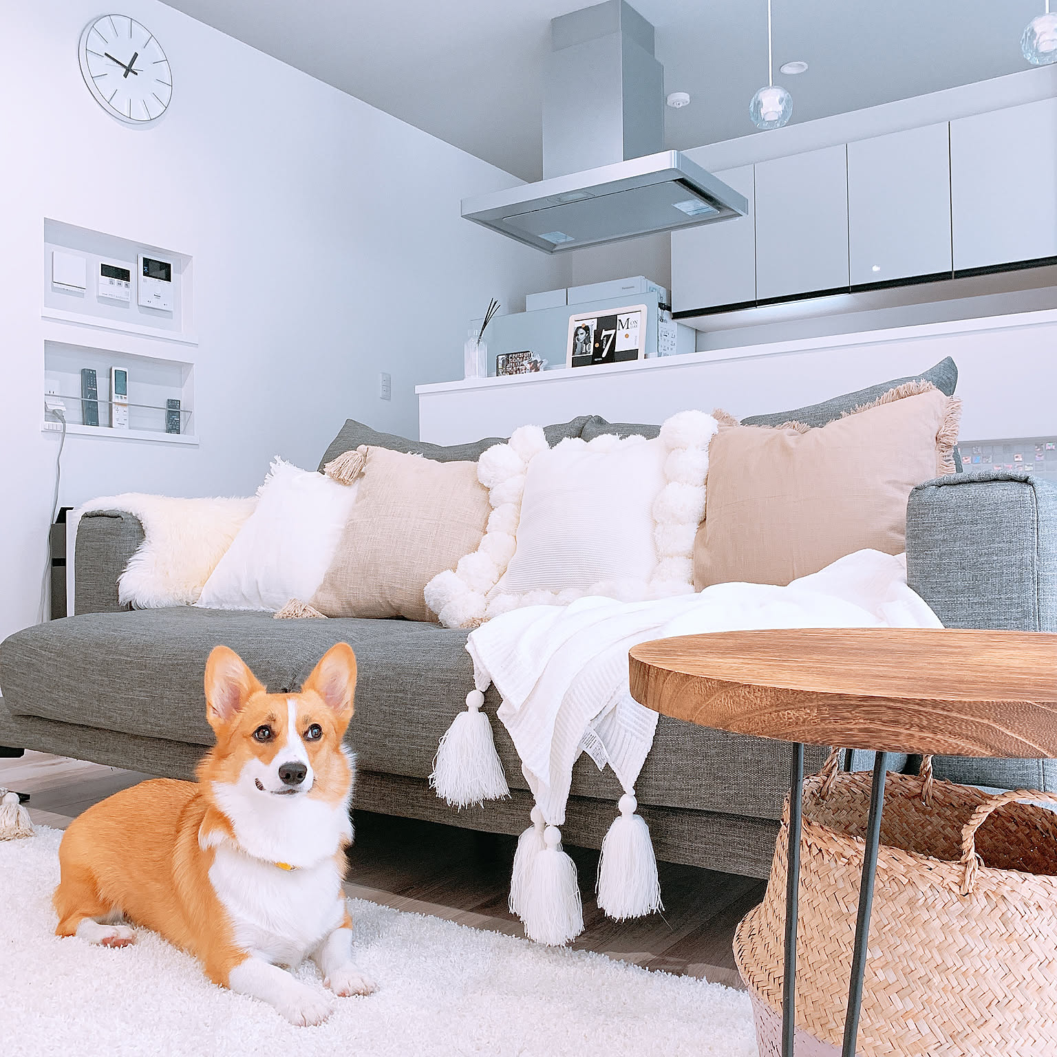 センター テーブル 家具 フランフラン ZARA 楽天市場】 家具