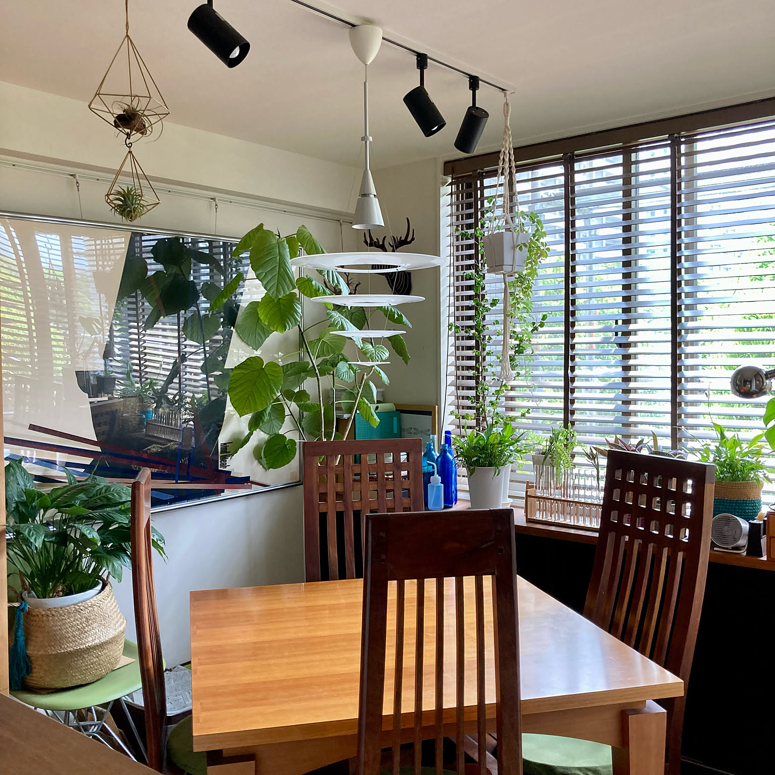 porada オーバルテーブル porada オーバルテーブル porada オーバルテーブル porada オーバル