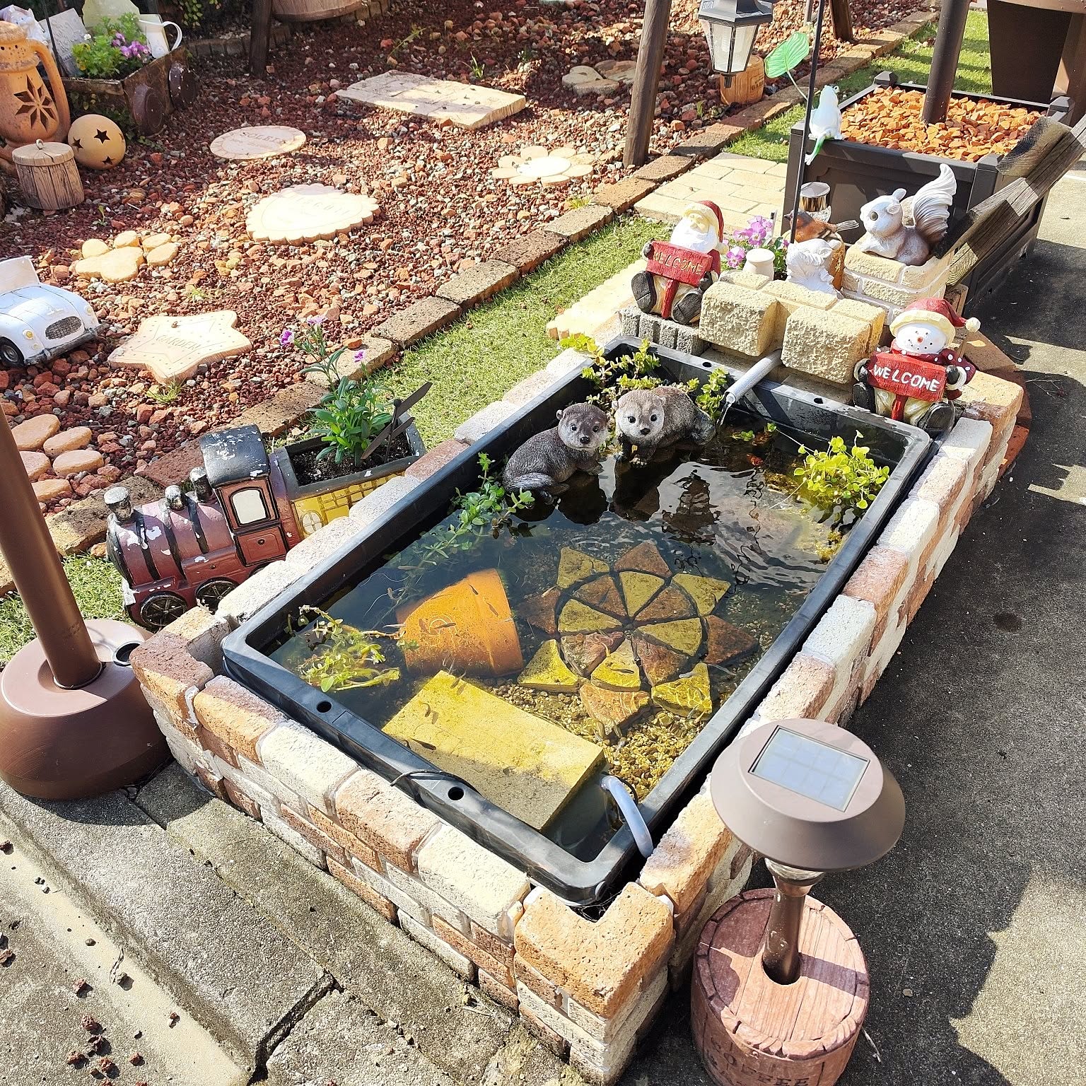 玄関/入り口 メダカビオトープのインテリア実例 ｜ RoomClip（ルームクリップ）