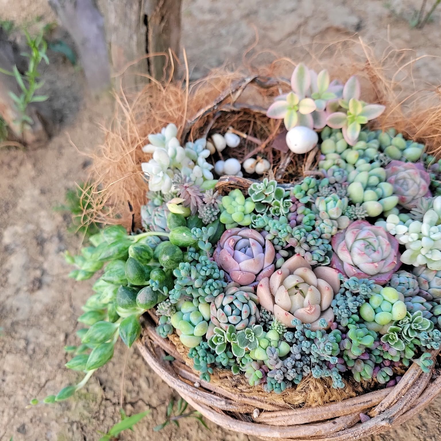 06c4c1a3cb2abf052ad81b9193294e