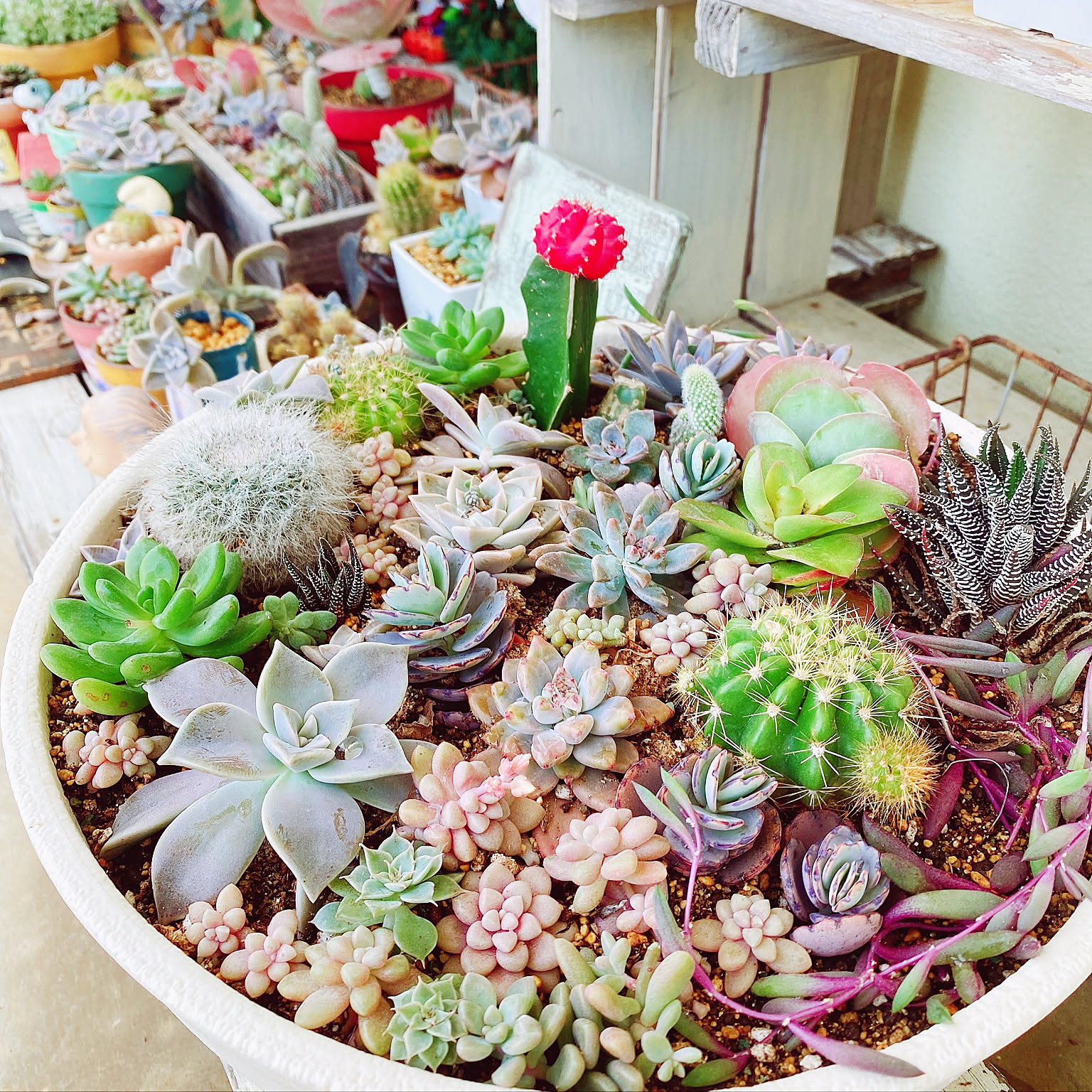 074a506a1e1432524735dece744b3c