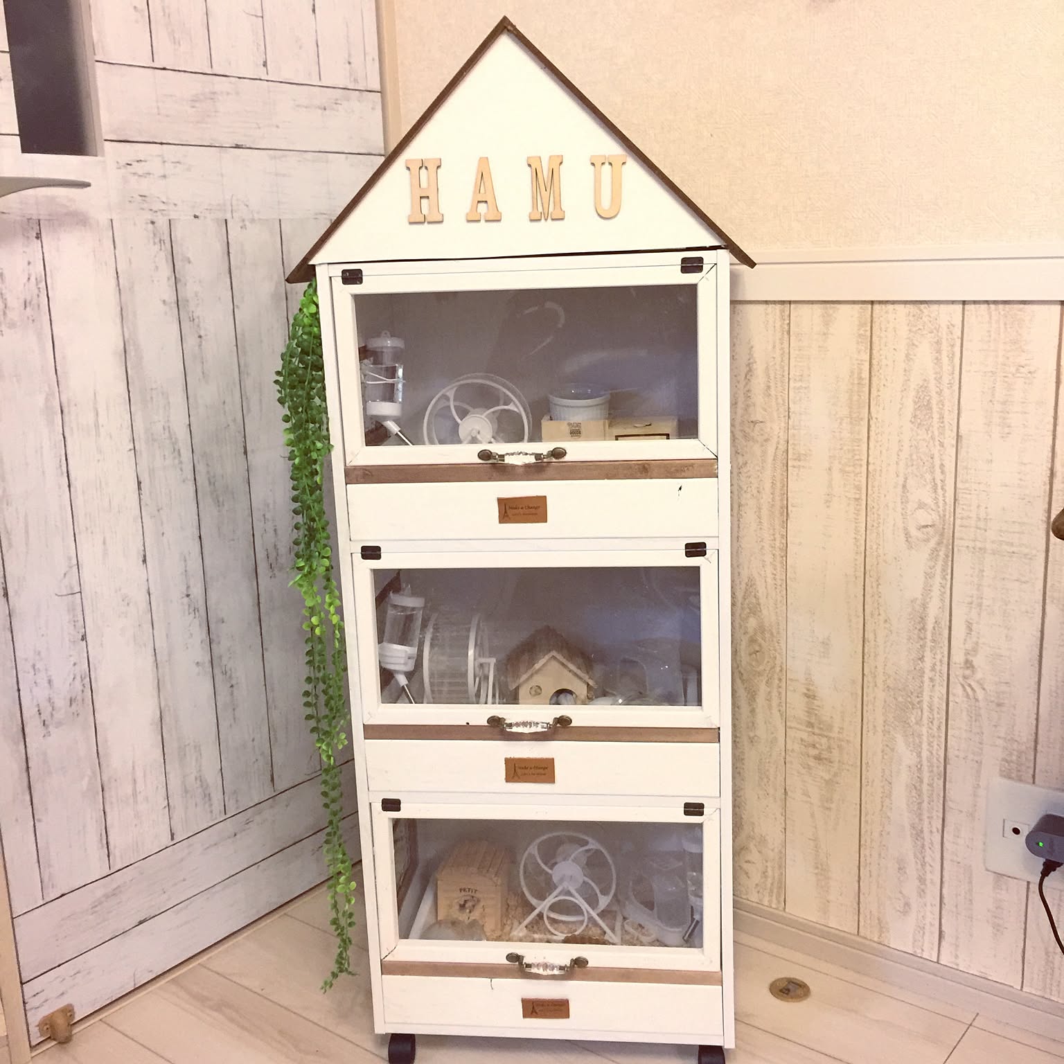 ハムスター (インテリア) ゴールデン ハムスター キンクマ 鳥 インコ リス ペット 小動物