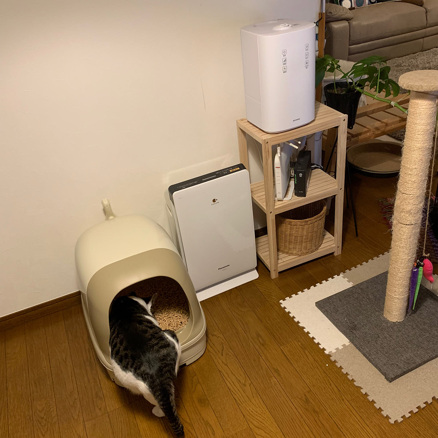 空気清浄機 猫用トイレのおすすめ商品とおしゃれな実例 ｜ RoomClip
