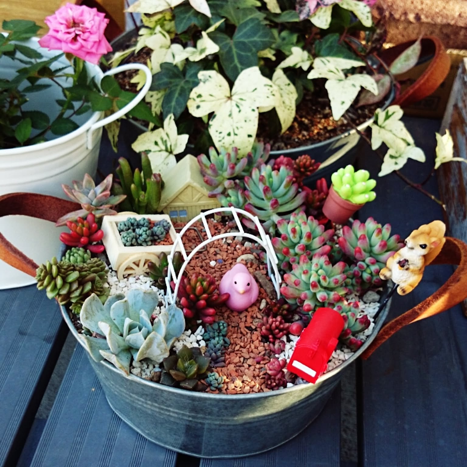 多肉植物 ♡そのまま飾れる寄せ植え♡4点セット♬*° 多肉植物＊そのまま飾れる 寄せ植え＊ winter バージョン その他