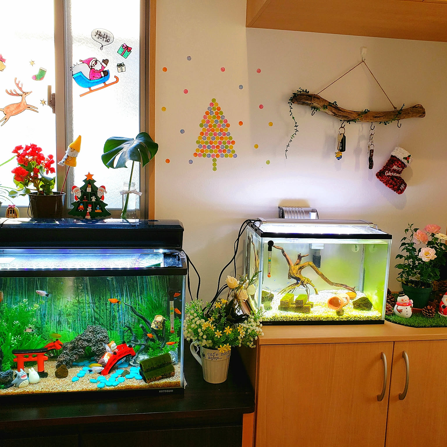 60cm水槽とマットとライトとライトハンガーと流木