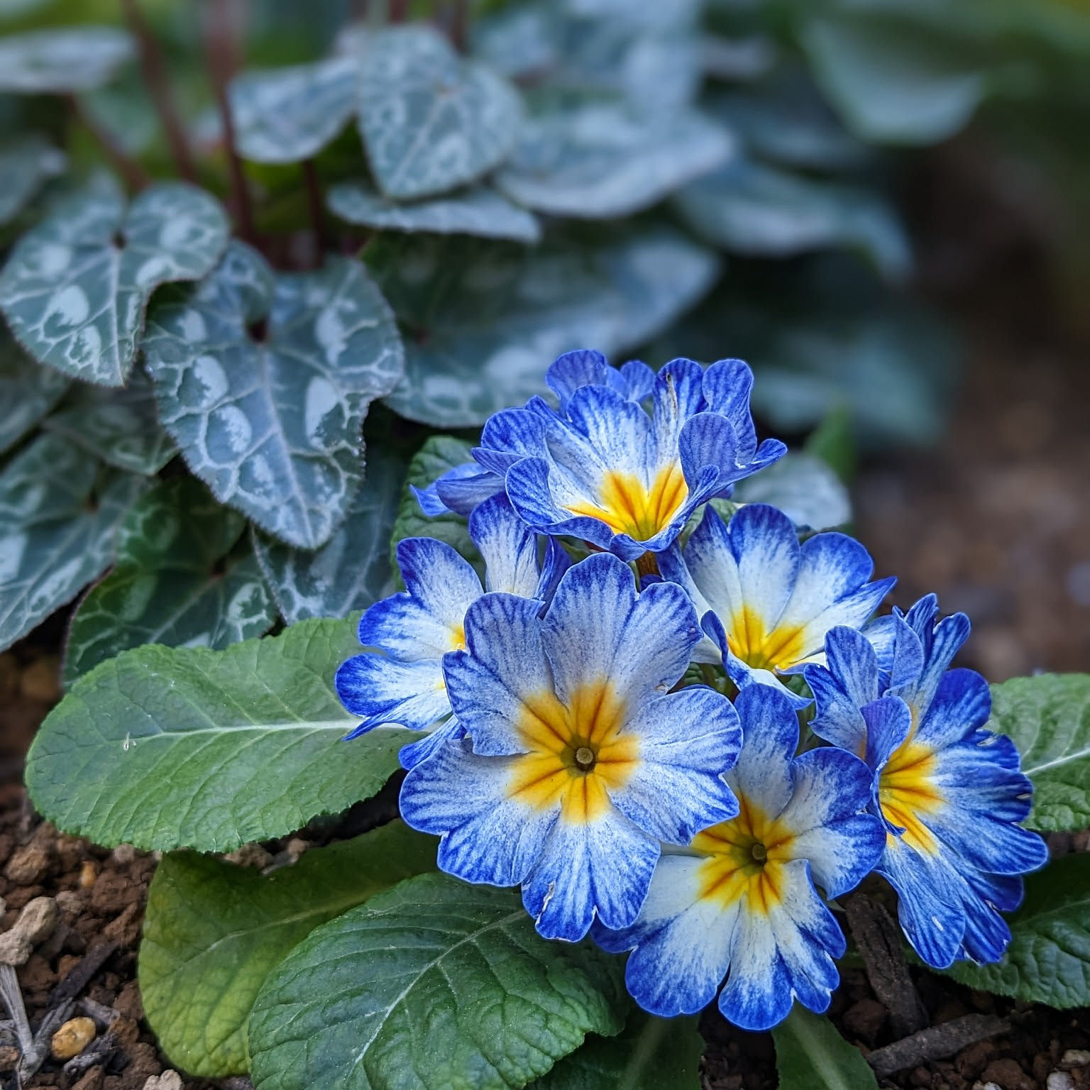 09eb103546c6061edf321fd83f249a