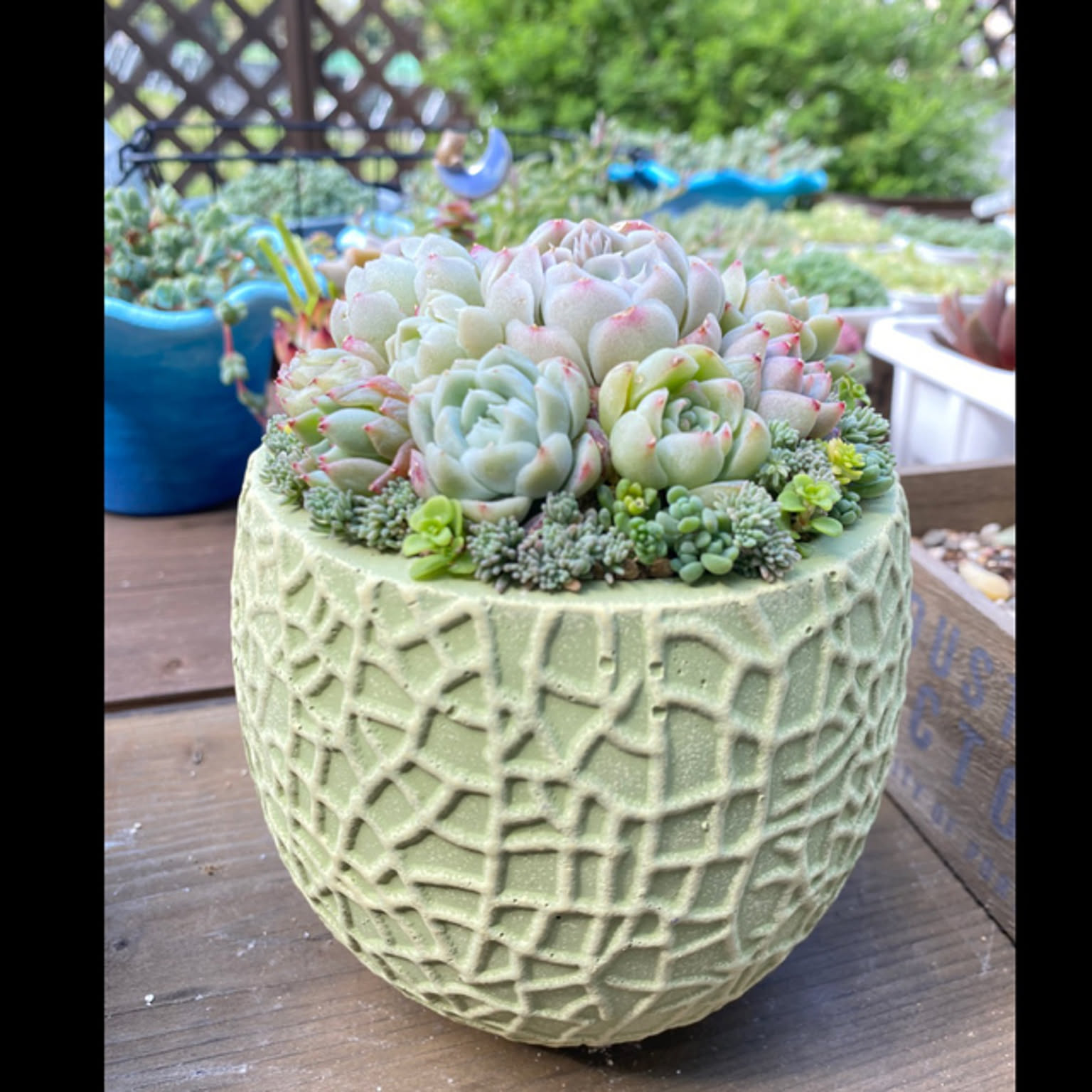 0a73d39249bfc8d6f997600da33db9