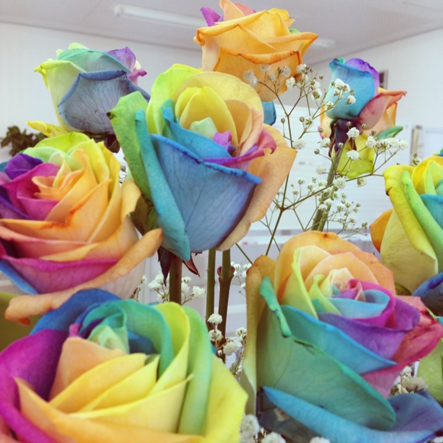ジャイアントフラワー　レインボー風ローズ ジャイアントフラワー パステルローズL レインボー Giant Flower