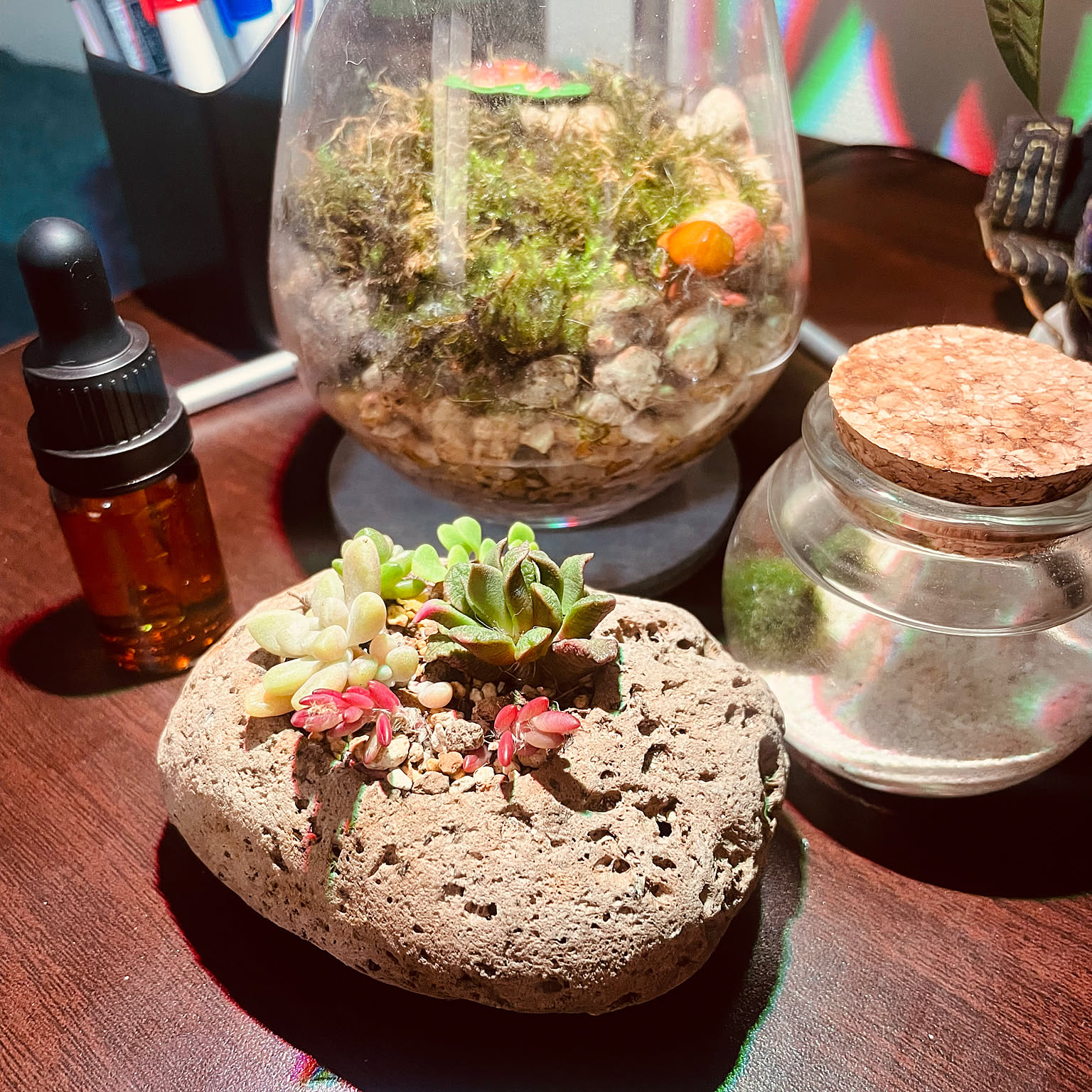 軽石鉢のおすすめ商品とおしゃれな実例 ｜ RoomClip（ルームクリップ）