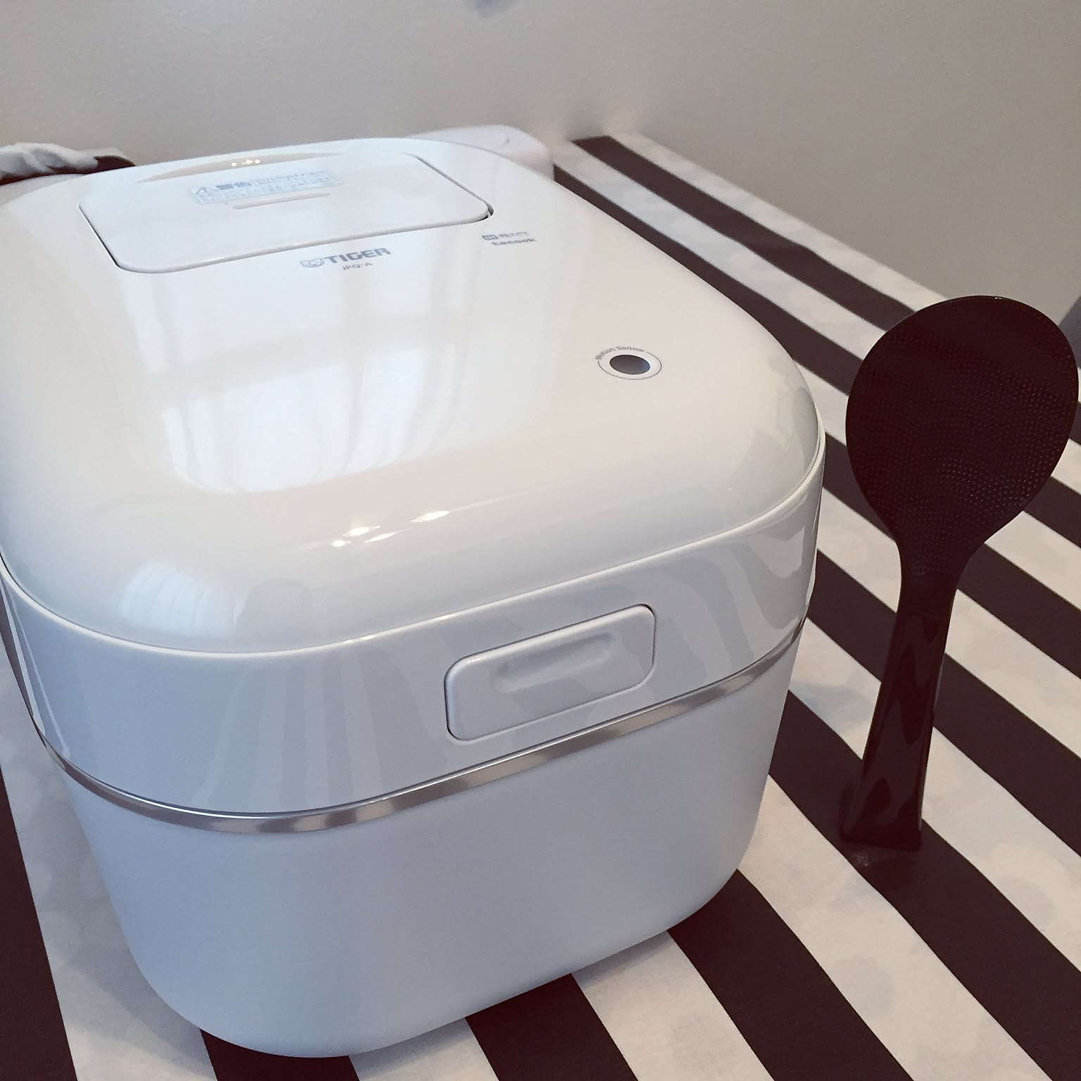 A white Tiger 5.5-cup tacook rice cooker shown clearly beside a black rice paddle.