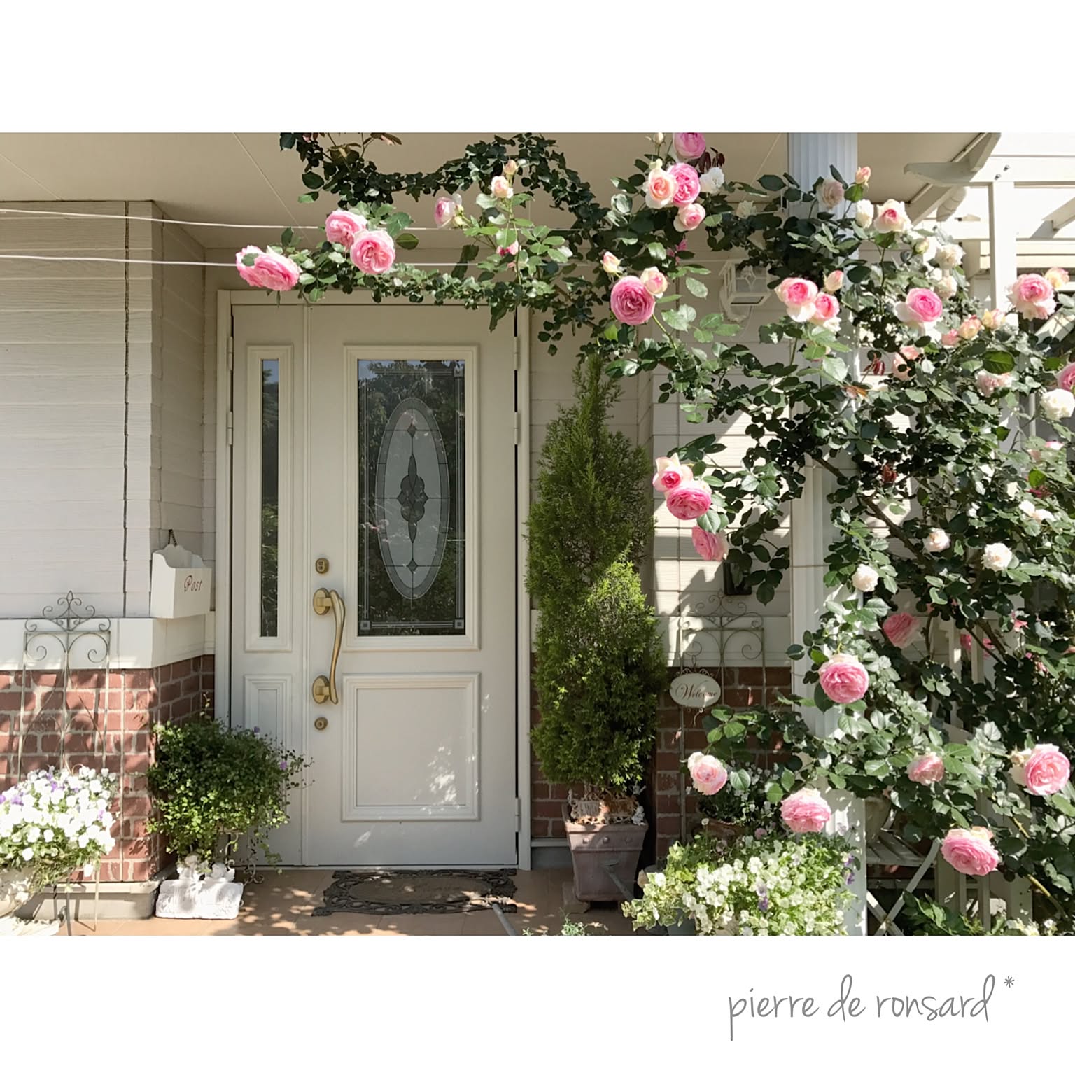 ローズクォーツ薔薇　玄関　リビング　寝室に　素敵な逸品 ローズクォーツ薔薇 玄関 リビング 寝室に 素敵な逸品 ピンク