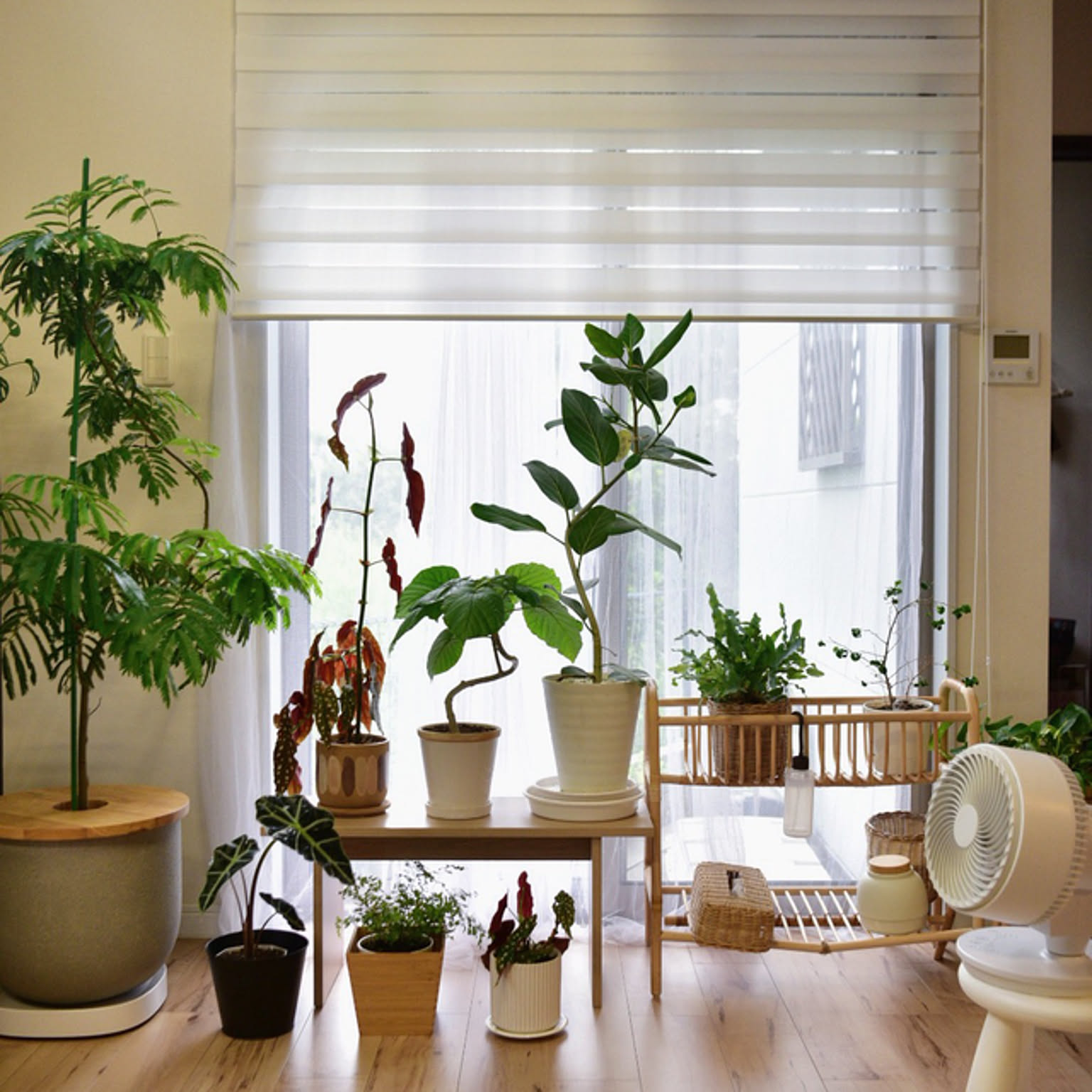 IKEA ブスクボー　クッション付き　引き取りのみ IKEA ブスクボー クッション付き 引き取りのみ 2025年最新