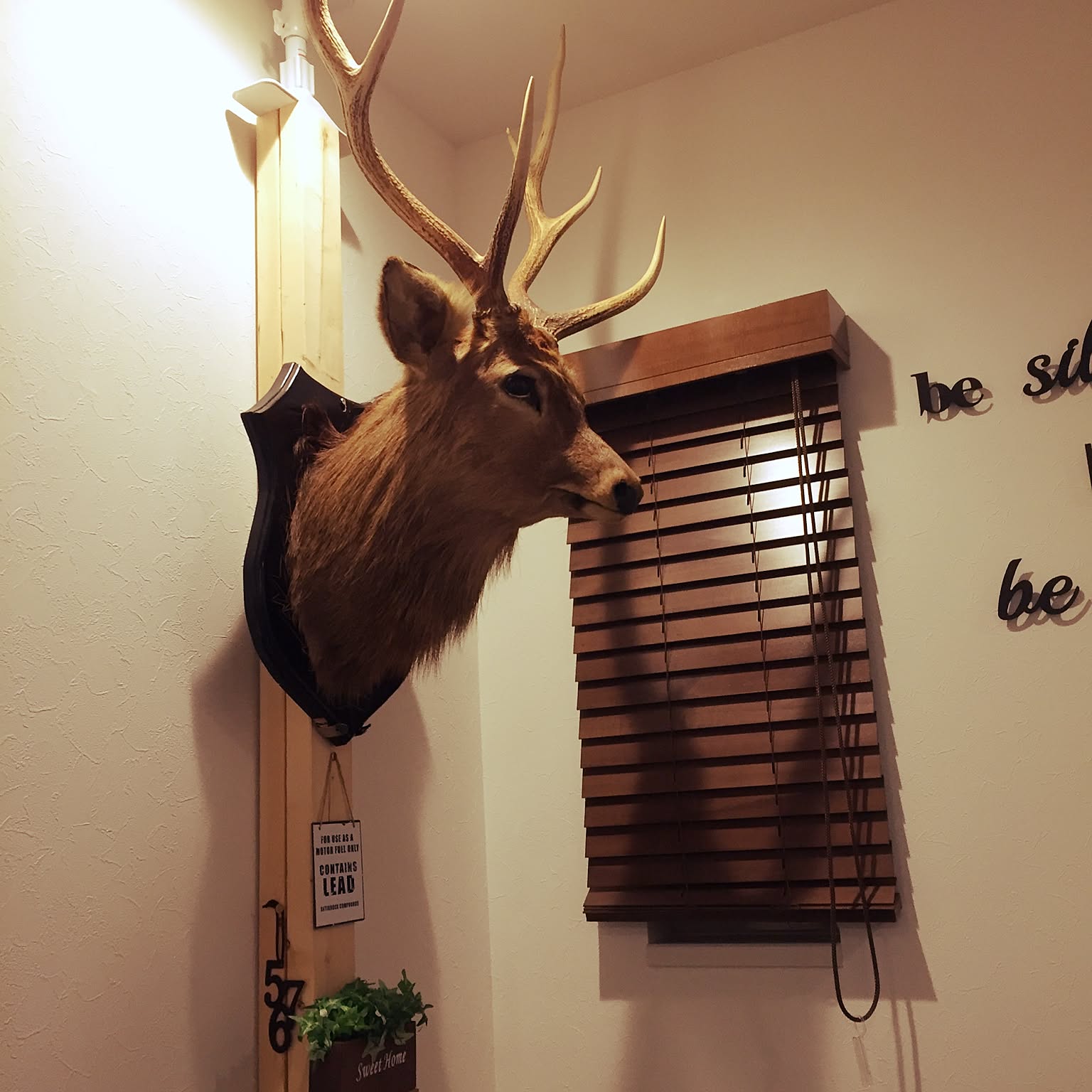 鹿の剥製のインテリア実例 ｜ RoomClip（ルームクリップ）