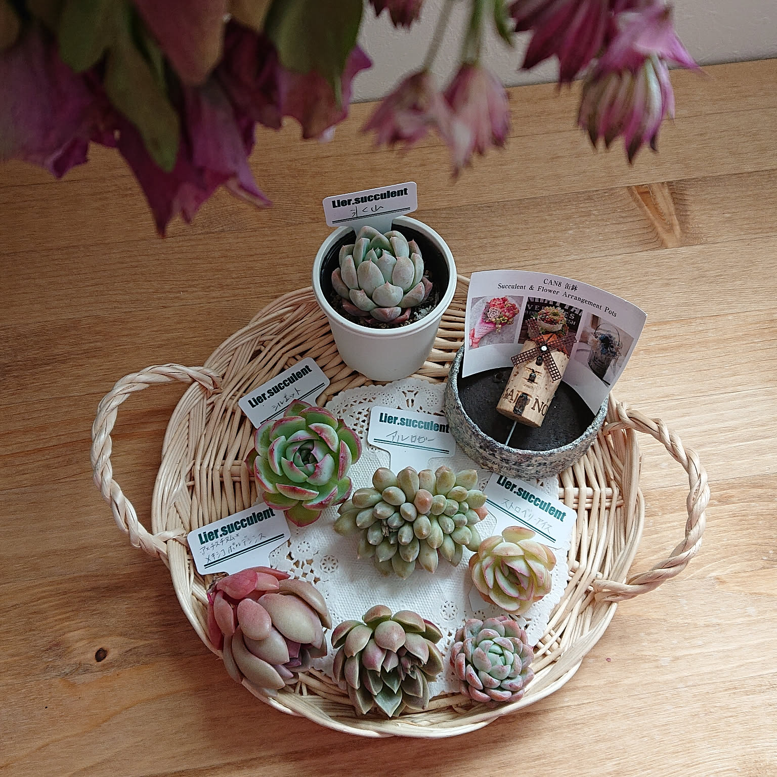 0ea445d0c75351215d47e7547d7fd1