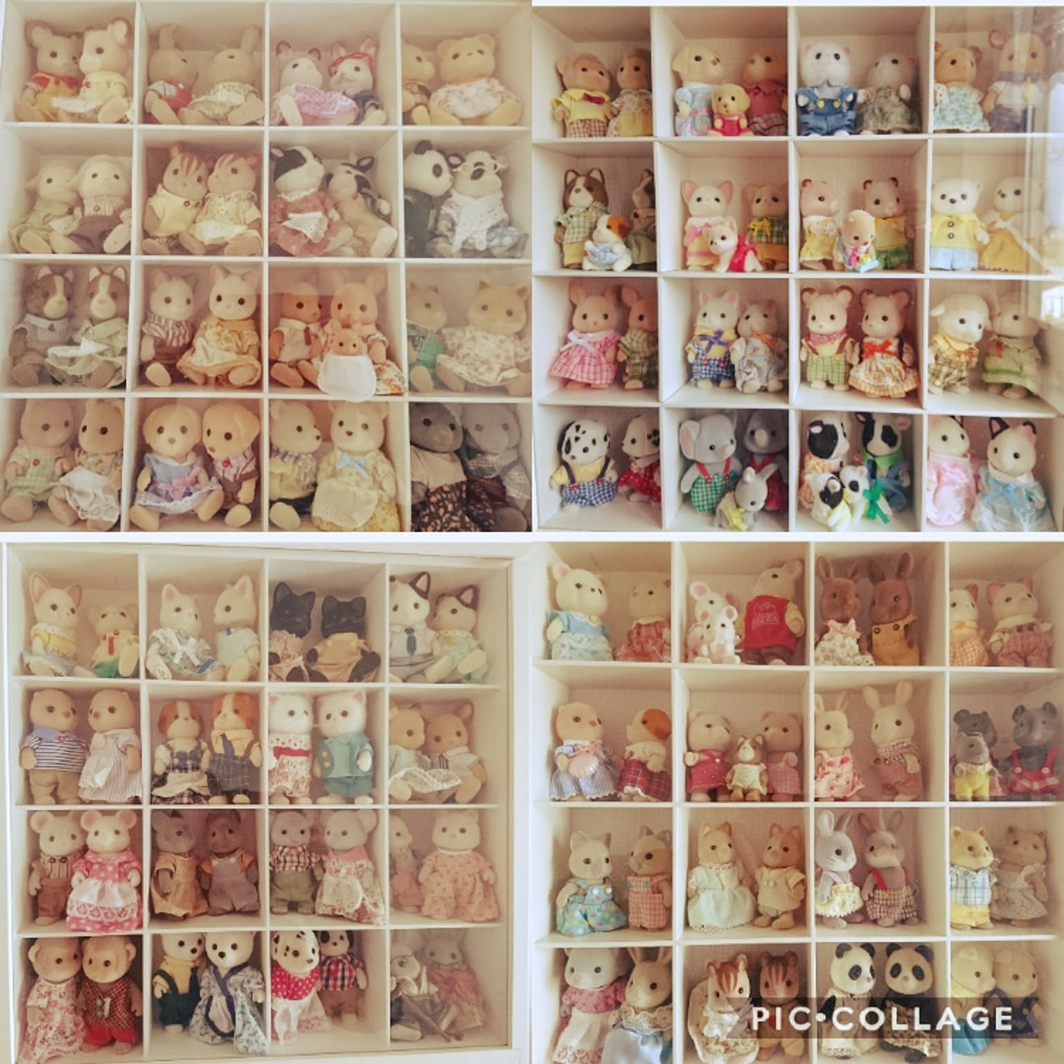 0f109968d2ec755cc7bb827305e0e4 0f109968d2ec755cc7bb827305e0e4