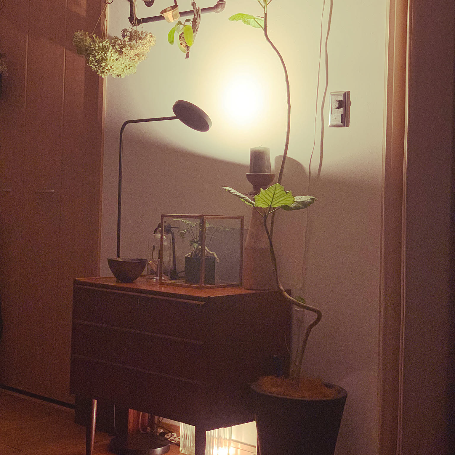 フロアランプ HAYのおすすめ商品とおしゃれな実例 | RoomClip フロアランプ HAYのおすすめ商品とおしゃれな実例 | RoomClip