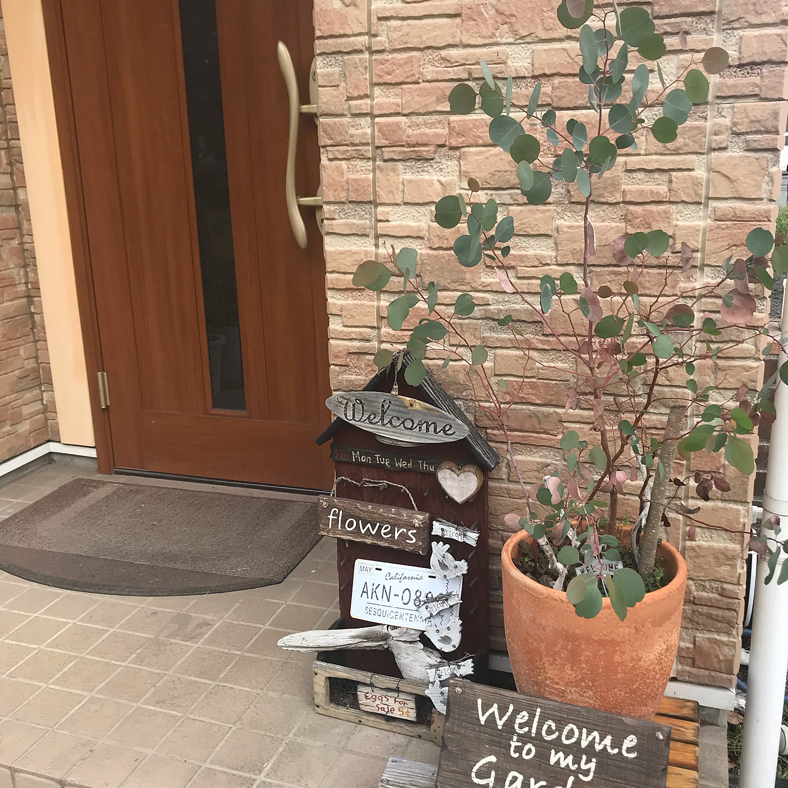 ユーカリ鉢植えのおすすめ商品とおしゃれな実例 ｜ RoomClip（ルーム