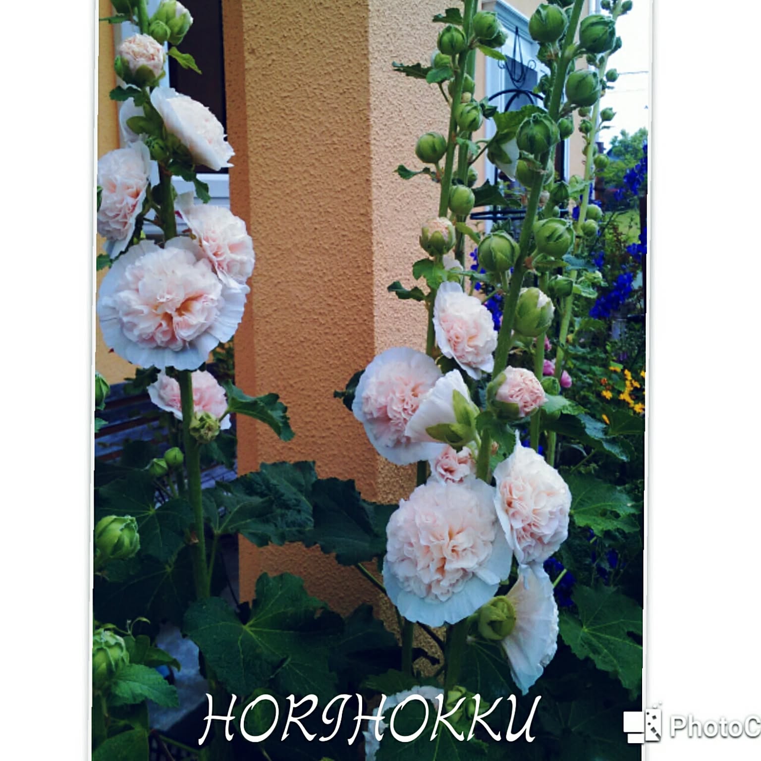 0fcfe578f1e61a7b08391393141eeb