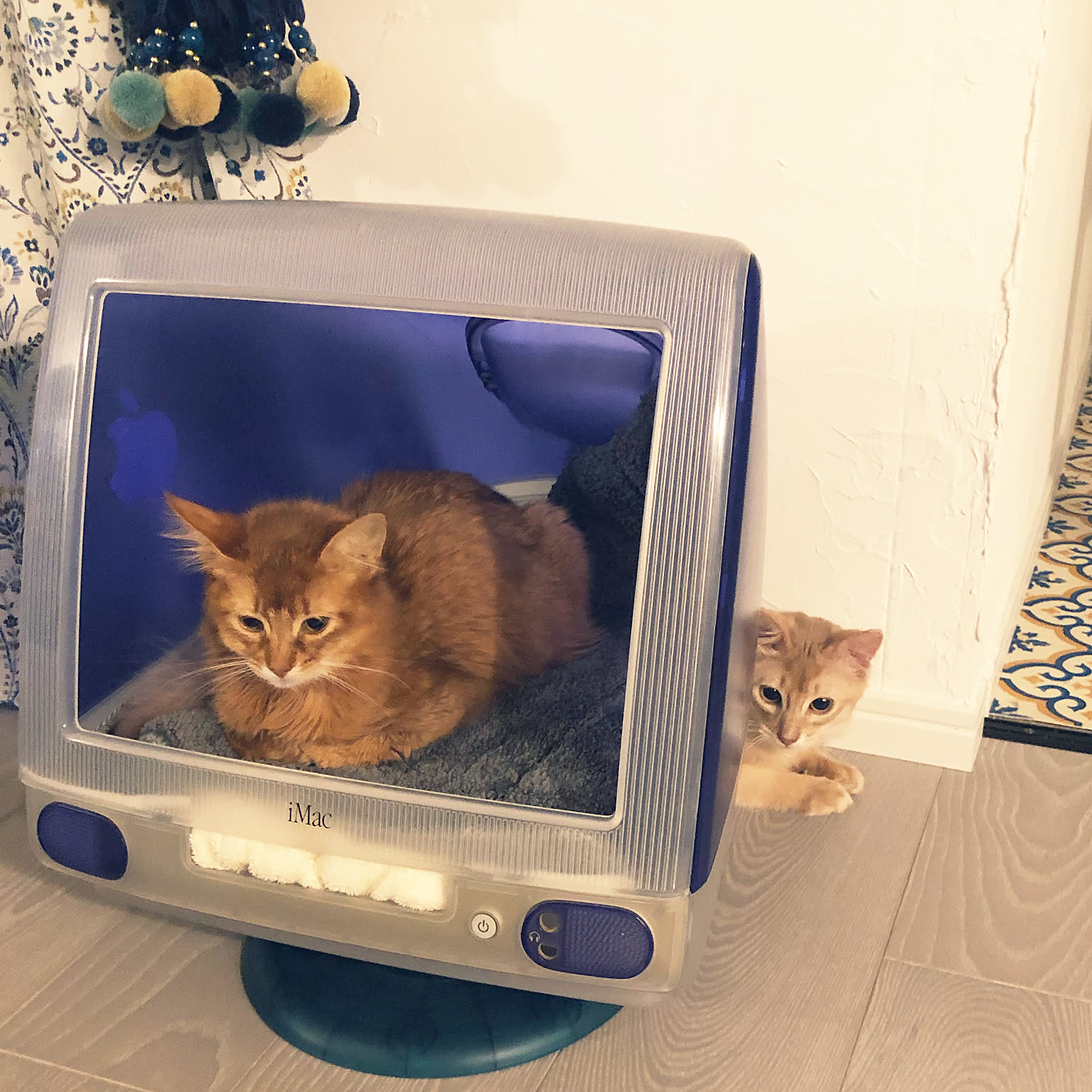 値下！iMacスケルトン リメイク猫ベッド Gigazine Imac Cat Bed 値下！iMacスケルトン リメイク猫ベッド 旧型