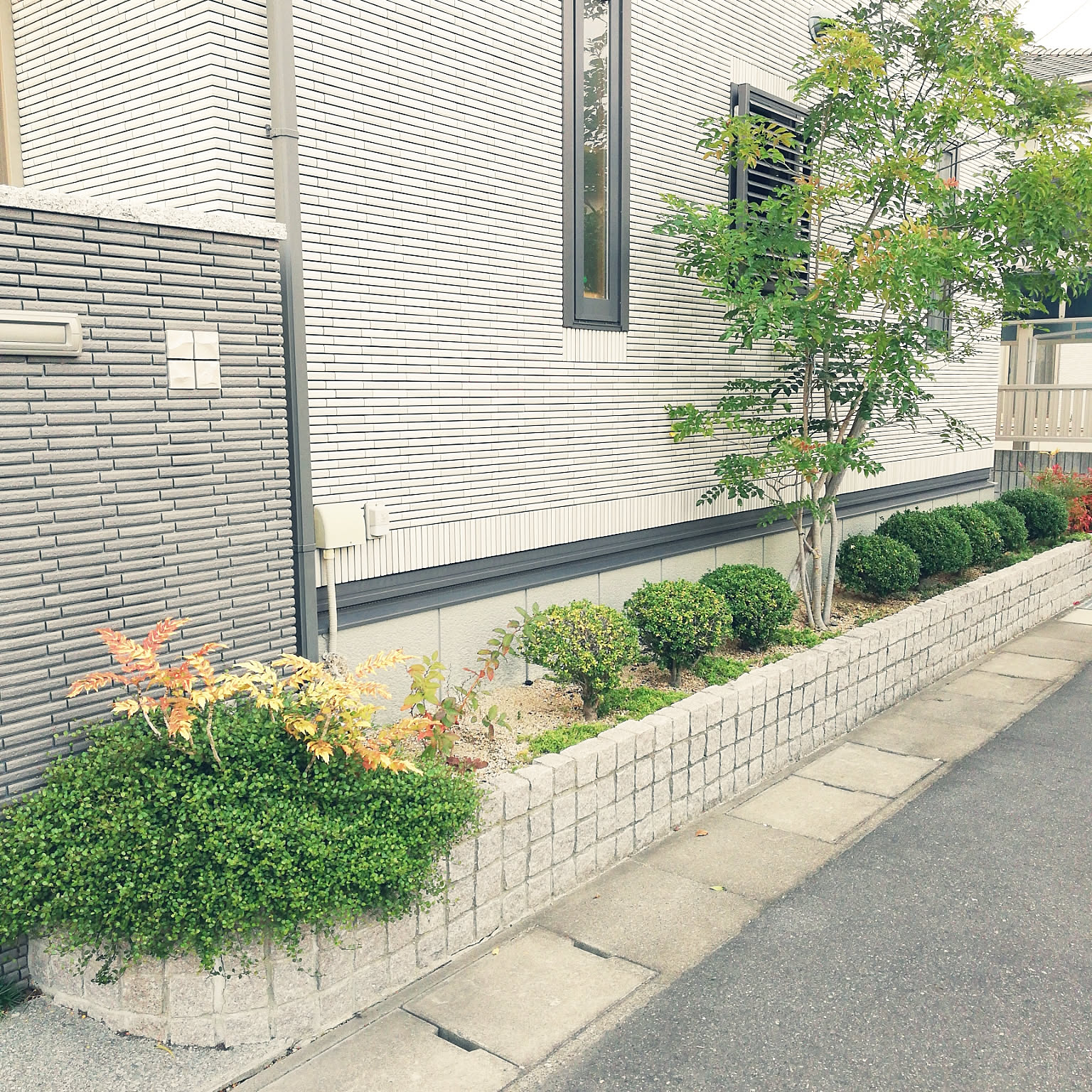 ツゲの木の置物 Amazon｜木彫り 仏像 高級天然ツゲ木彫り 仏像 柘植の木置物