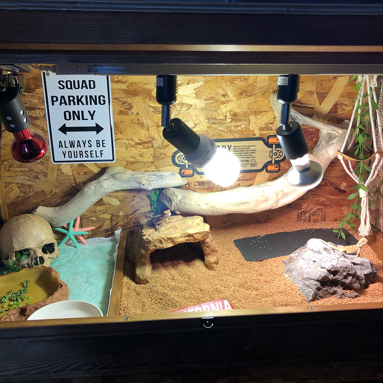 オープニング SALE木製90cmケージ⭐︎フトアゴ レオパ リクガメ爬虫類