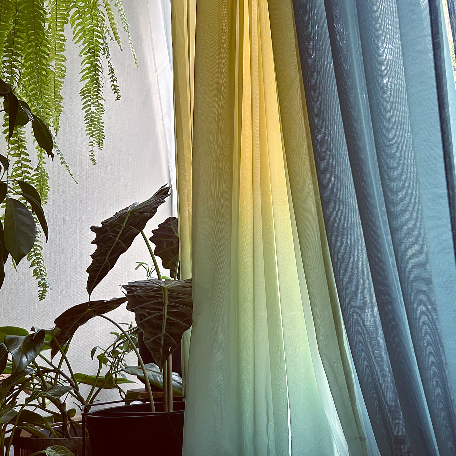 グラデーションカーテンのおすすめ商品とおしゃれな実例 ｜ RoomClip